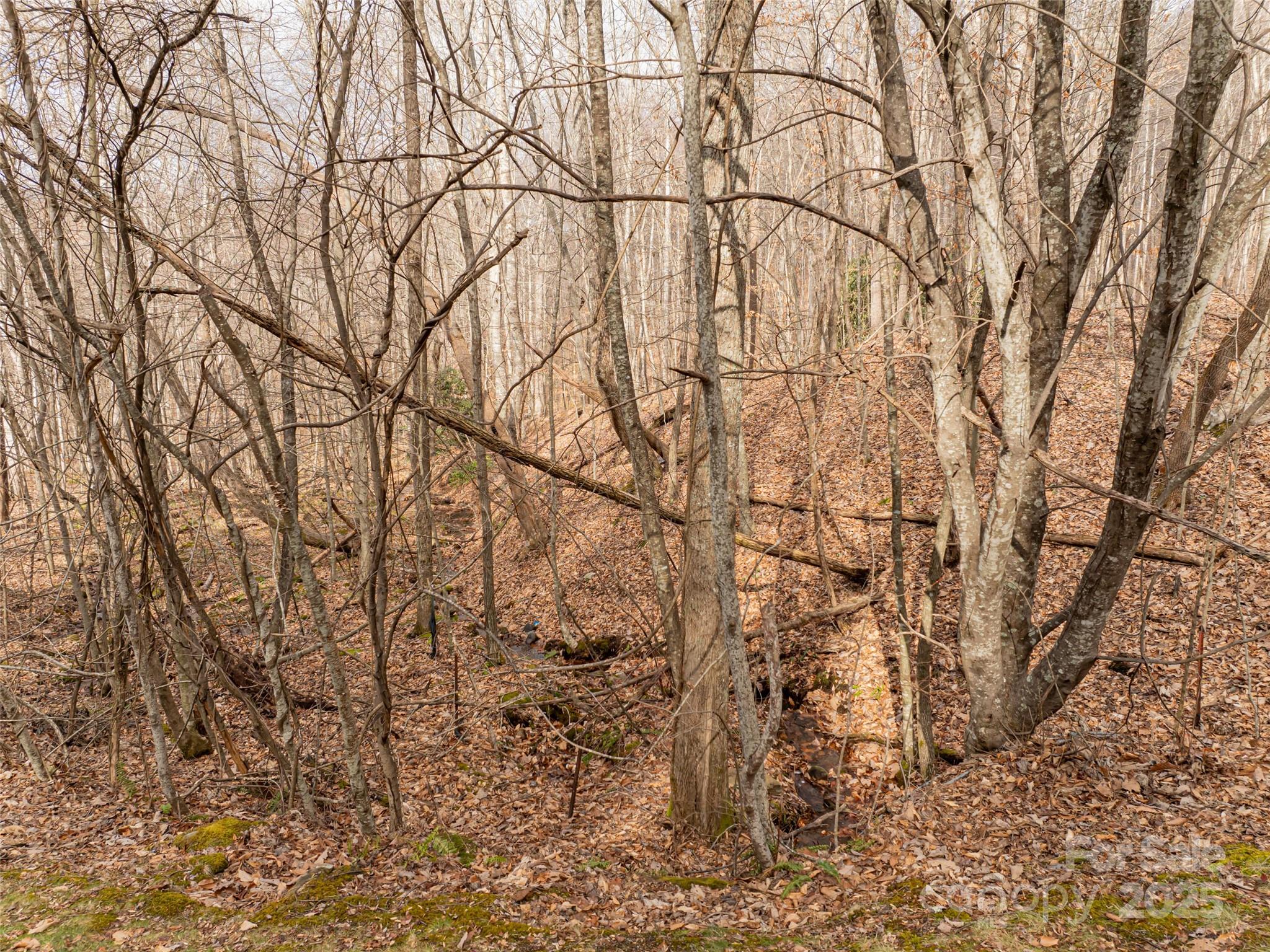 Avery Park - Land