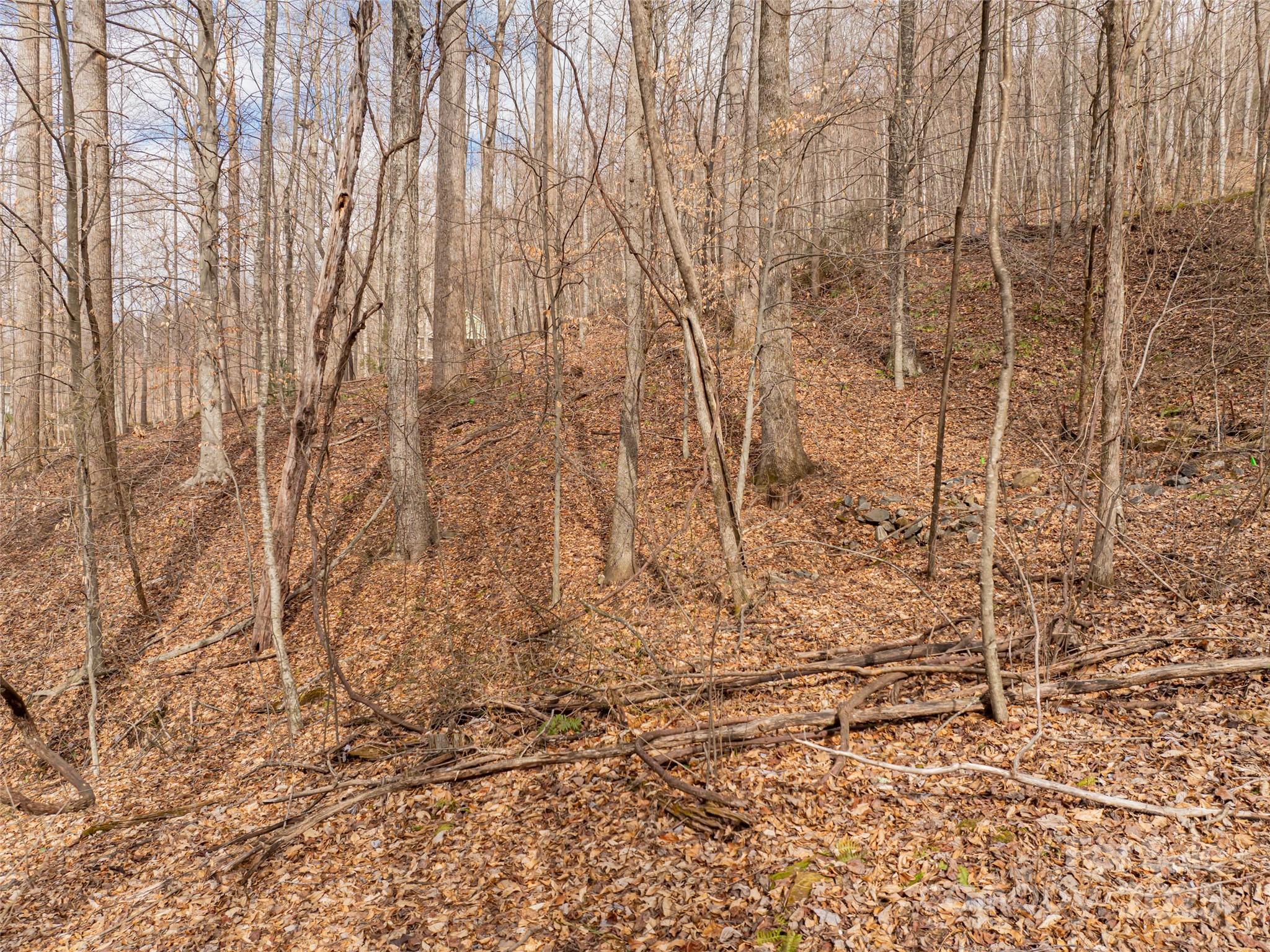Avery Park - Land