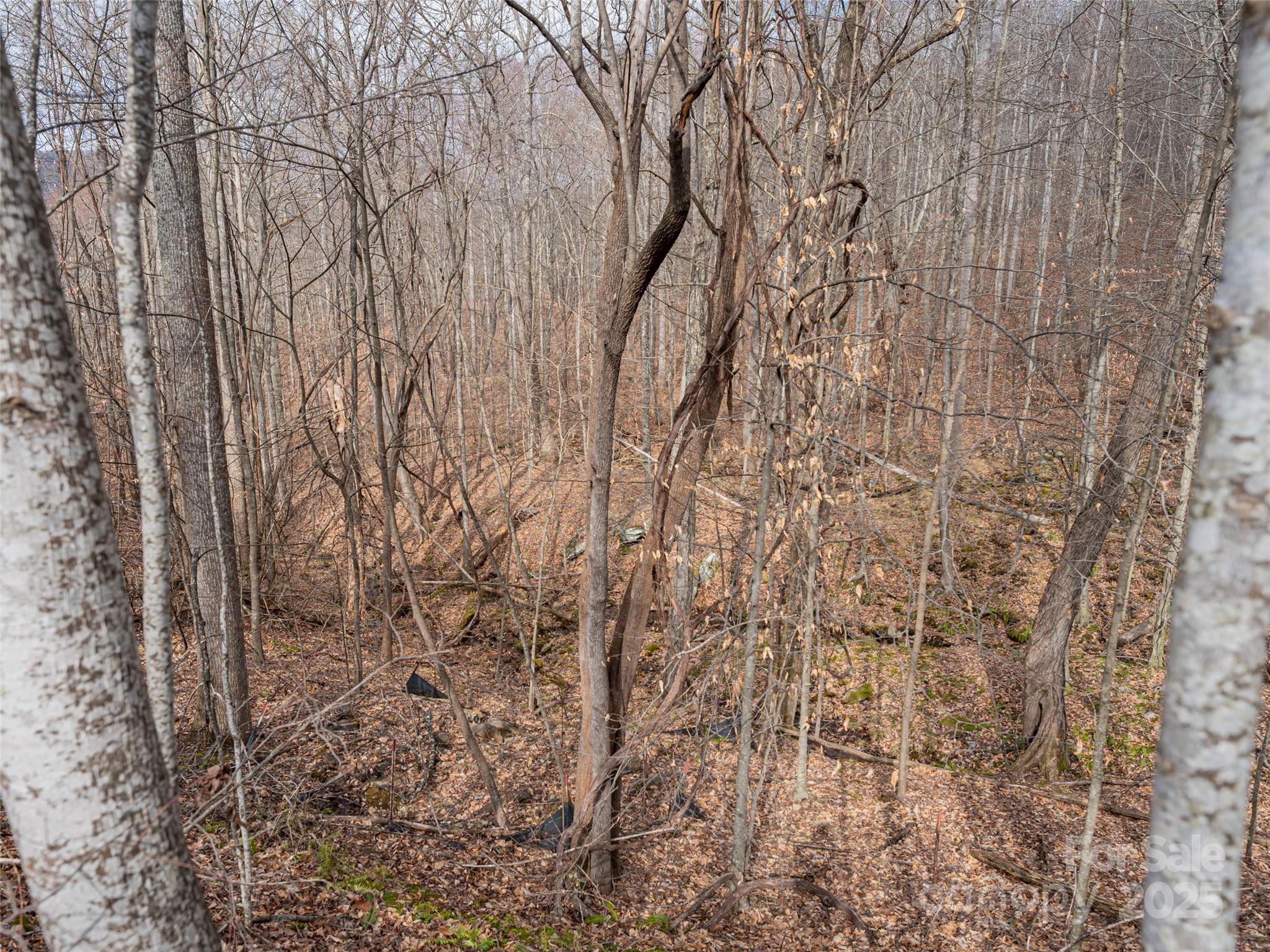 Avery Park - Land