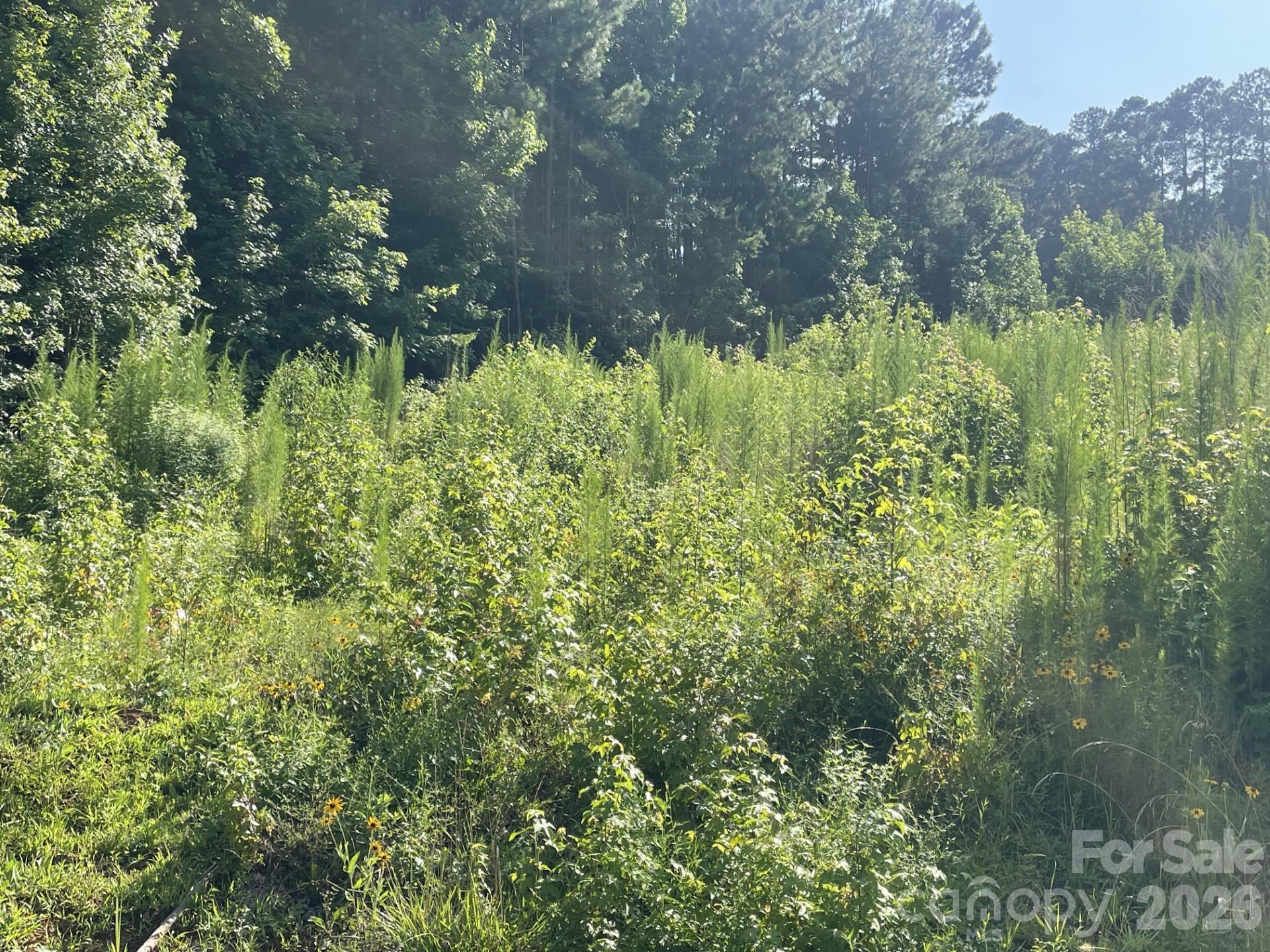 Nice water view lot located in the northern Stanly County area.