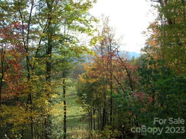 Gentle view of pasture with mountains in background. Beautiful, friendly, growing community adjoining the GSMNP. Trail head is Thomas Divide. 10 mins from Bryson. Property has wide easy gravel roads, accessible year long. Fantastic views as one enjoys the changing seasons. Spectacular mountain laurel in spring, perennial flower beds and bulbs throughout. Original farm house at center of community equine facility, which has a new barn, arena and round pen, plus good parking. Hiking or riding trail surrounds the community pastures.
