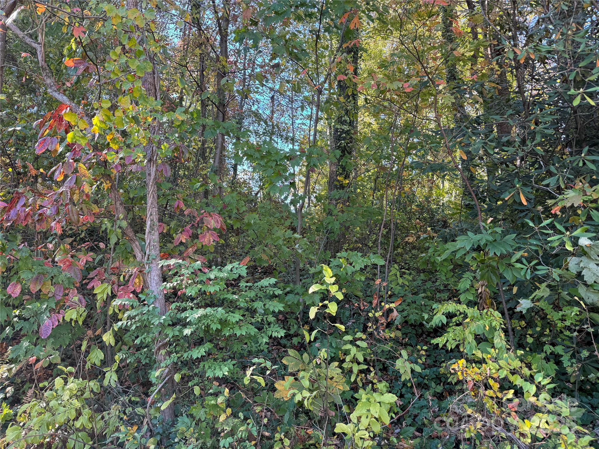 Druid Hills - Land