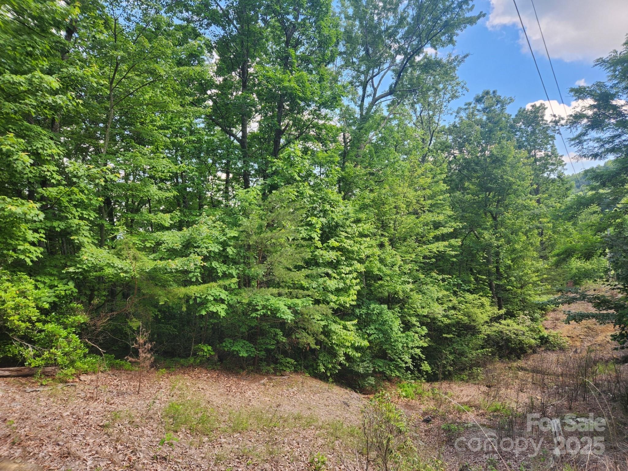 Riverbend Highlands - Land