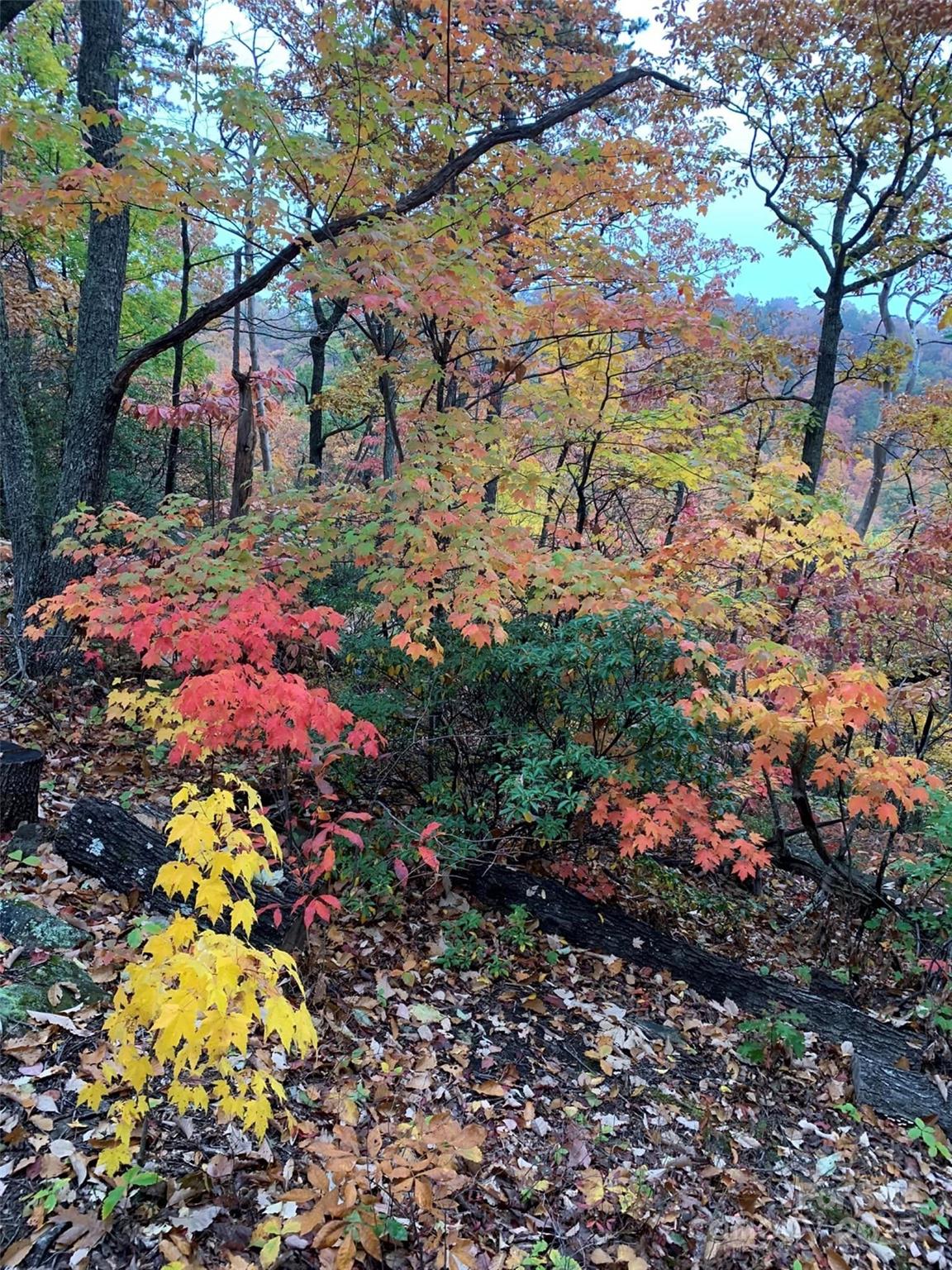 Riverbend Highlands - Land