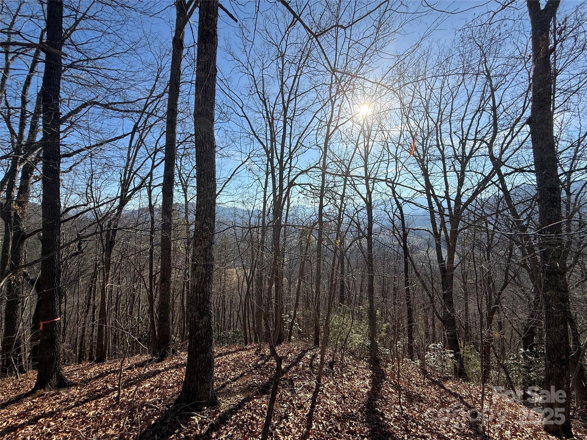Lot 13 sits right where you want to be — up on the ridge, with a clear, usable building envelope and south-facing exposure that pulls in light all day long. It’s the kind of lot that feels intuitive the moment you walk it. The land tells you where the house should go.

This is a strong homesite with elevation, presence, and just enough openness to frame the surrounding woods without losing that tucked-in mountain feel. Morning sun, afternoon warmth, and long seasonal light make this a great setup for a porch, big windows, or passive solar design.

A previous 3-bedroom septic evaluation has been completed (now expired), giving a solid starting point for future planning. The ridge setting provides natural drainage and a sense of separation that’s hard to replicate at lower elevations.

And then there’s the location. From here, you’re minutes to hiking, rafting, and exploring, with easy access to skiing and the trails, rivers, and backroads surrounding Great Smoky Mountains National Park. This part of Western North Carolina offers so much that you could spend a lifetime here and still be discovering new places, new routes, and new reasons to stay outside just a little longer.

Lot 13 isn’t flashy — it’s solid, well-positioned mountain land with real build potential and a lifestyle that quietly sells itself.

Build now, or hold for later. Either way, the ridge isn’t going anywhere.