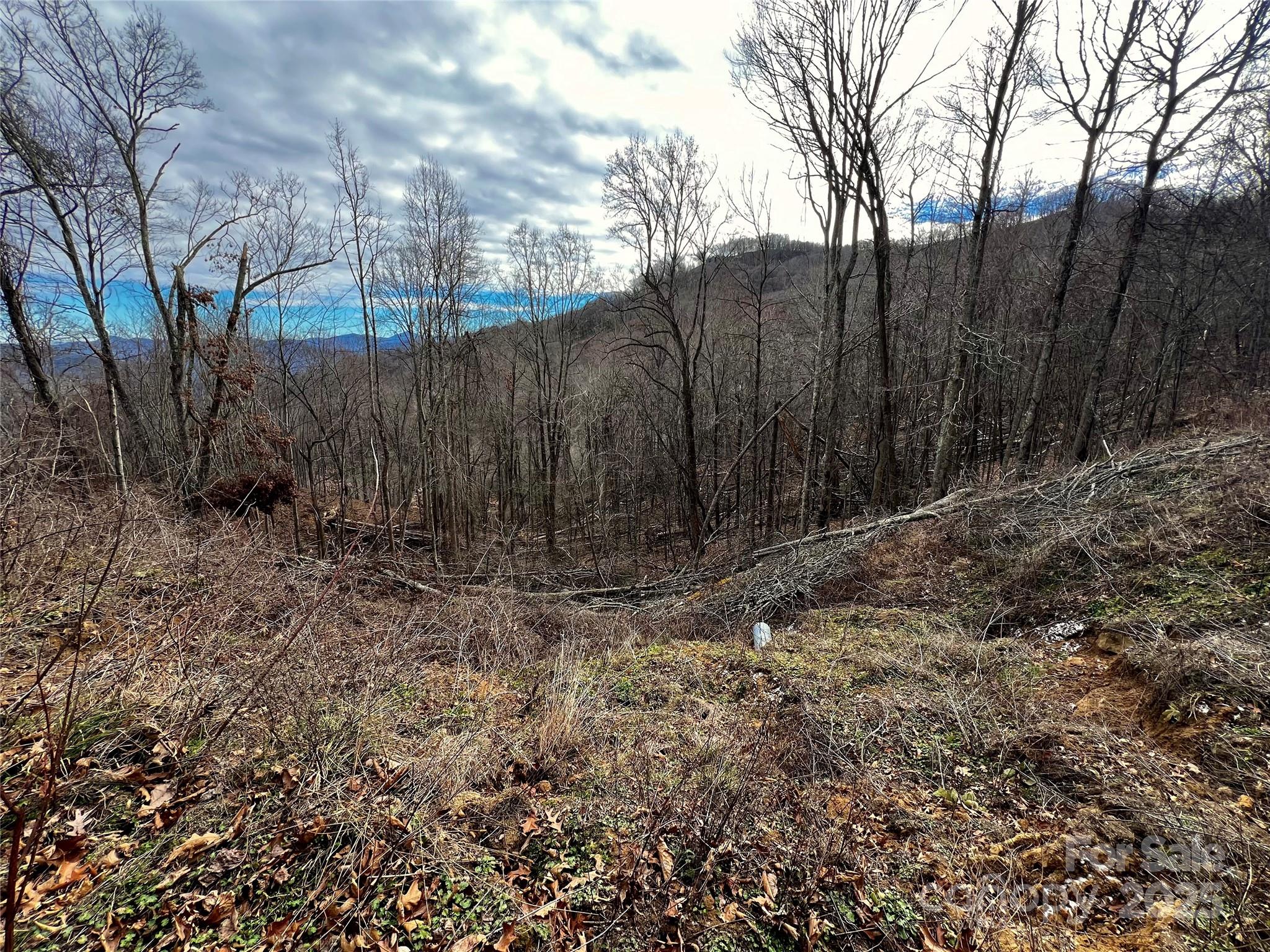 Utah Mountain Estates - Land