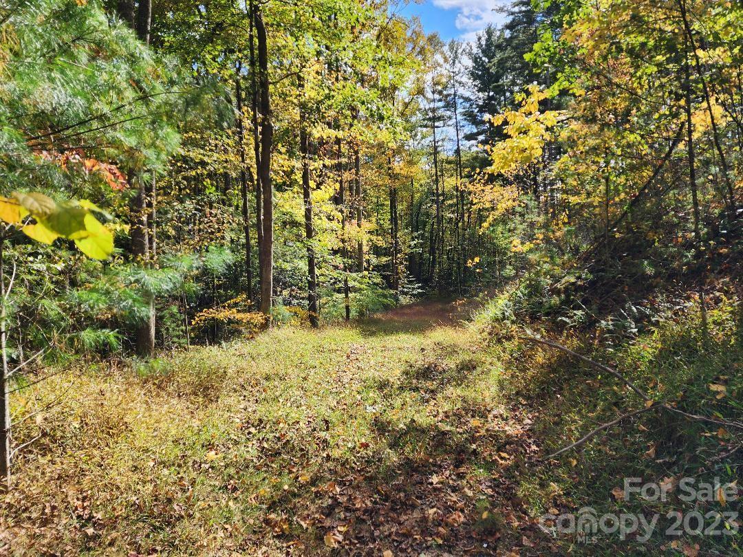Chestnut Hill Estates - Land