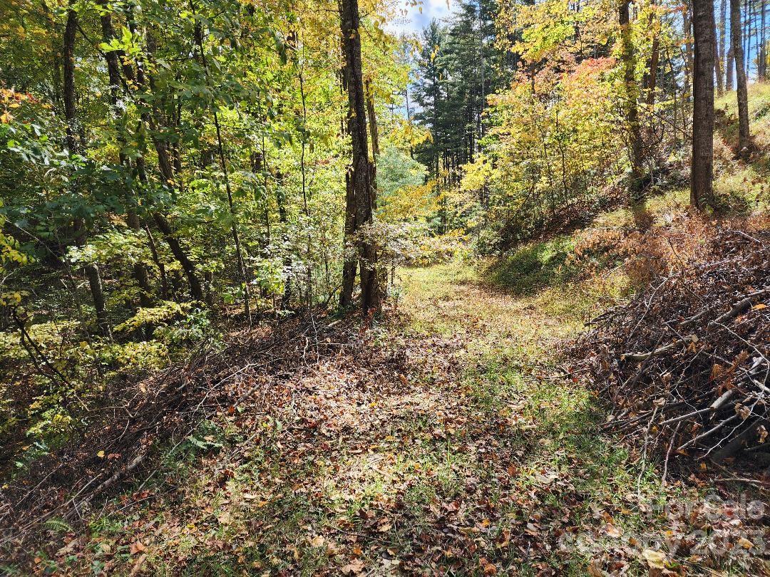 Chestnut Hill Estates - Land