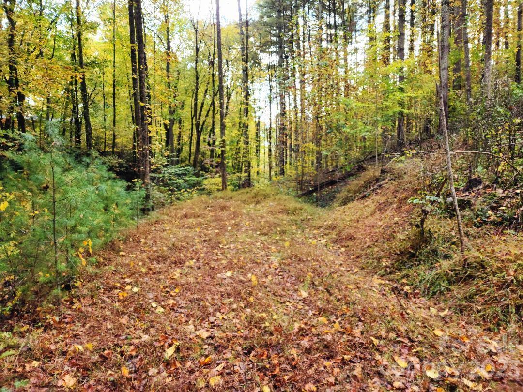 Chestnut Hill Estates - Land