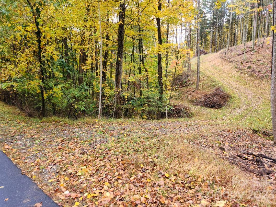 This building lot is the perfect place to build your dream home.  Even though it's outside the city limits, city water is available saving the price of a well. An access road has already been graded to the center of the property and will only need some bushes cut out and new gravel added. An electric line crosses the upper side of the property meaning no electrical easements will be needed. Chestnut Hill Estates is an excellent neighborhood offering well maintained roads and low HOA fees. With some tree work, your home built on this listing will offer beautiful mountain views to the east and south. Wildlife such as deer and wild turkeys are abundant in Chestnut Hill Estates. This lot is a short 5-minute drive from the restaurants, brewery and arts scene in the attractive mountain town of Burnsville. Asheville is a 40-minute drive away on great 4-lane roads.  World class hiking, fishing and other outdoor activities are just minutes away. Come see why this lot is perfect for your home.