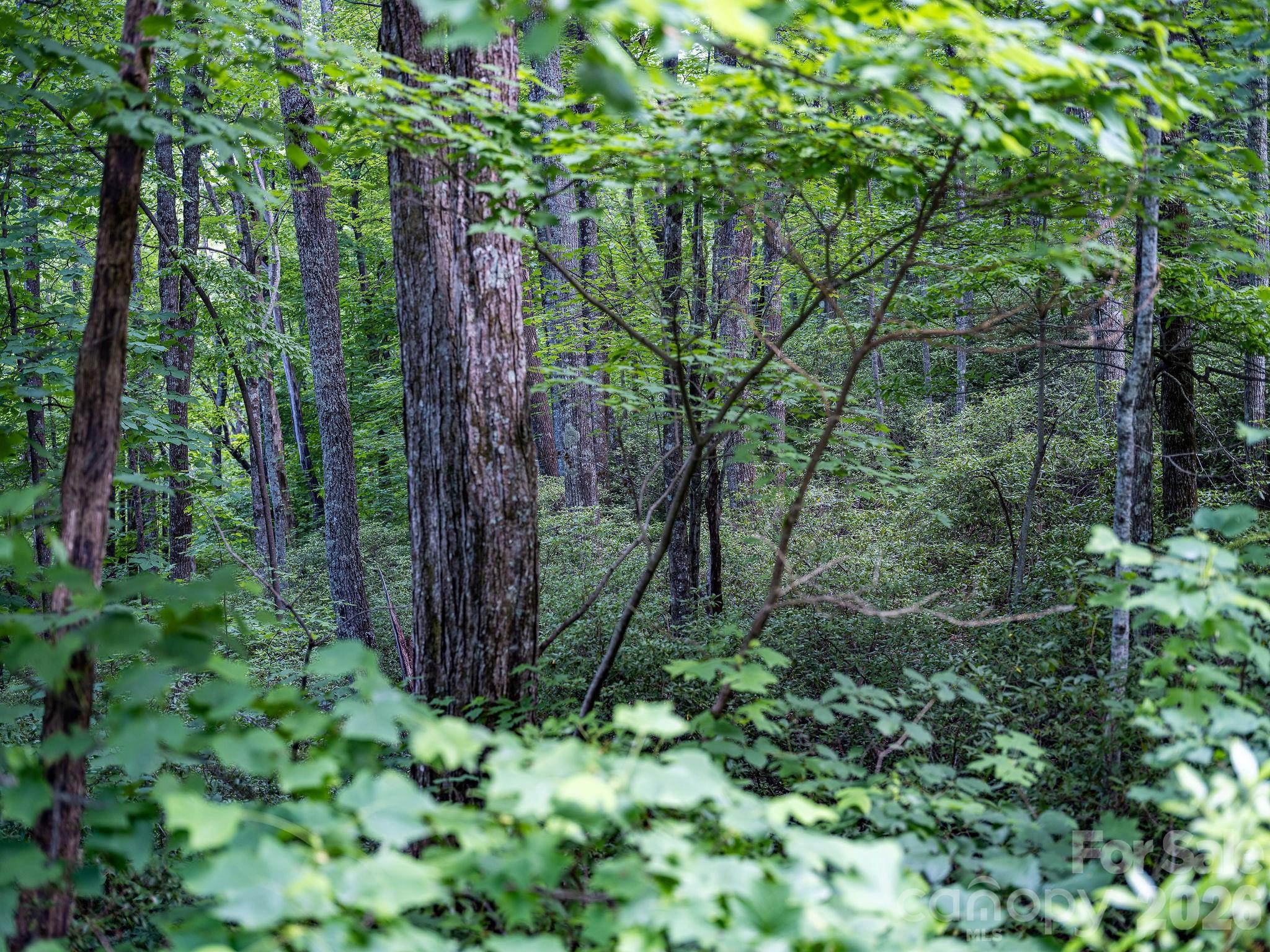 Idylwild - Land
