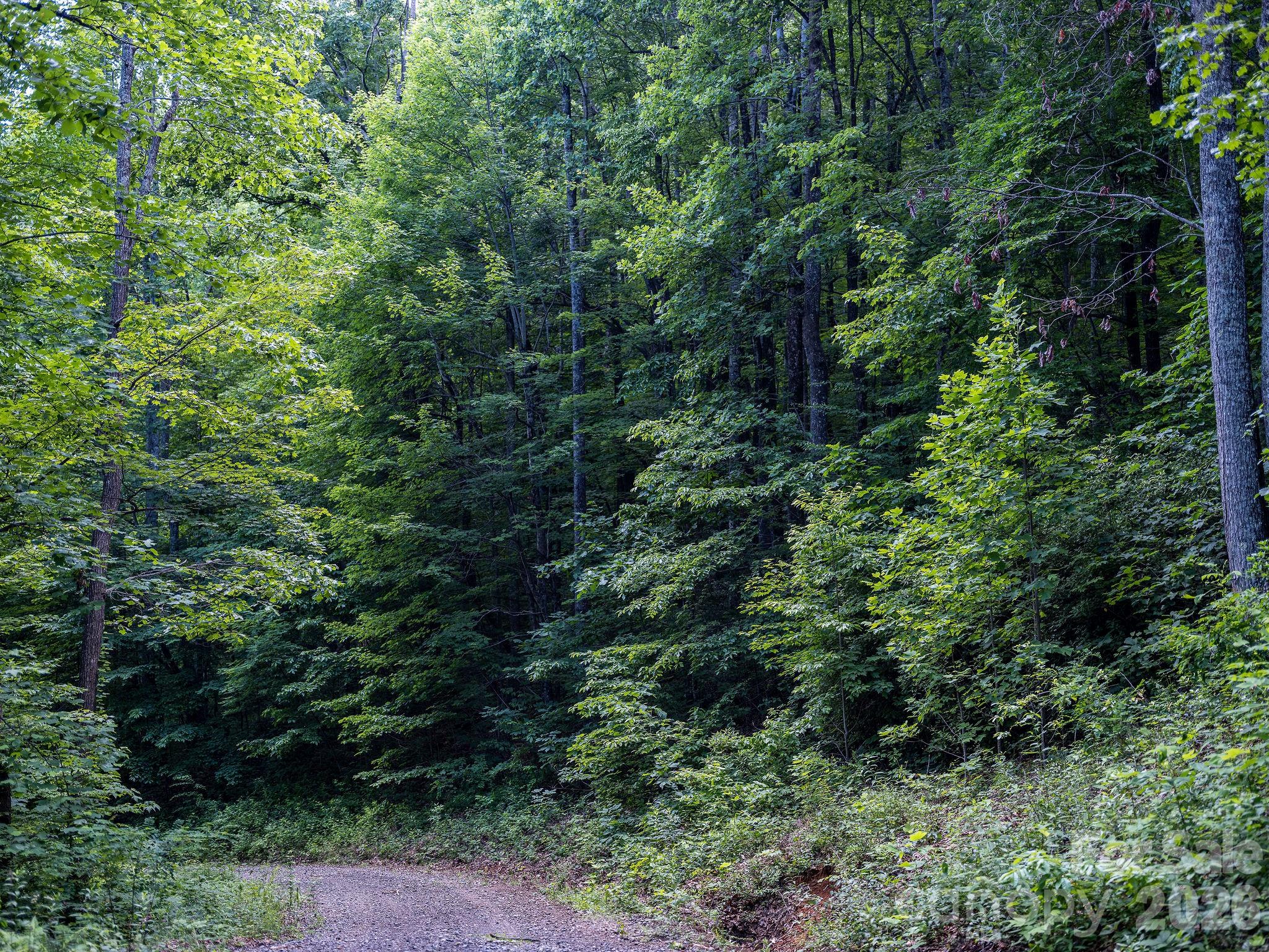 Idylwild - Land