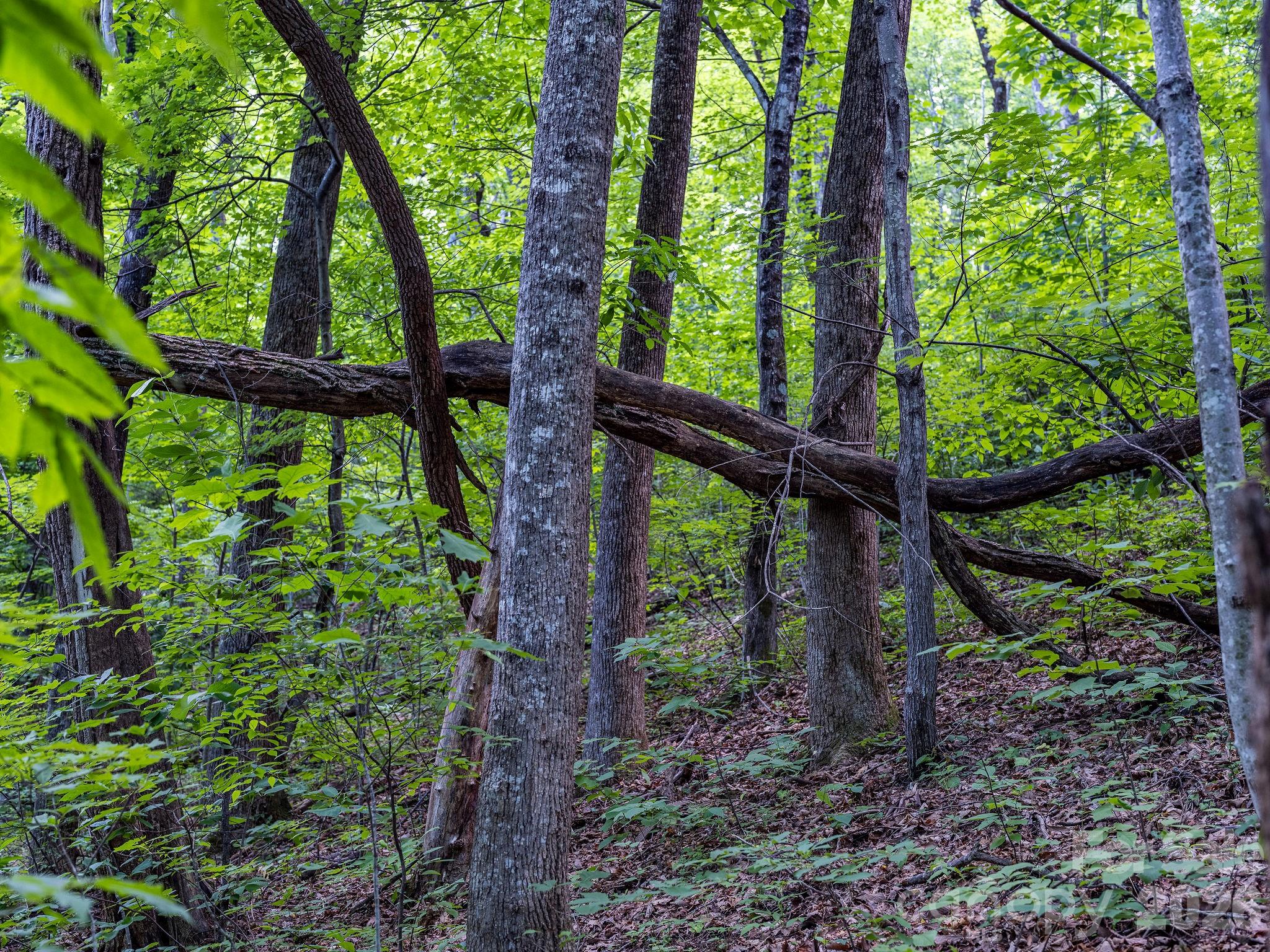 Idylwild - Land