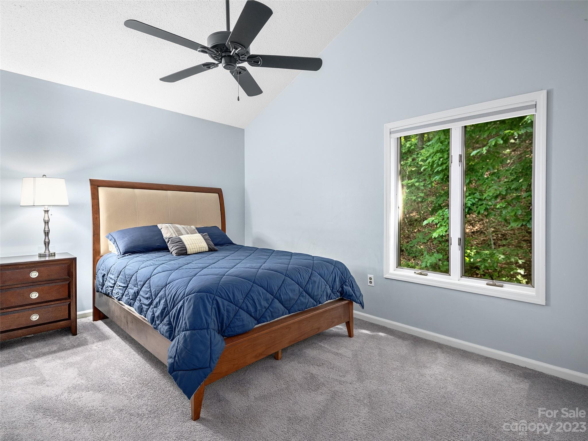 Jays Mountain - Residential