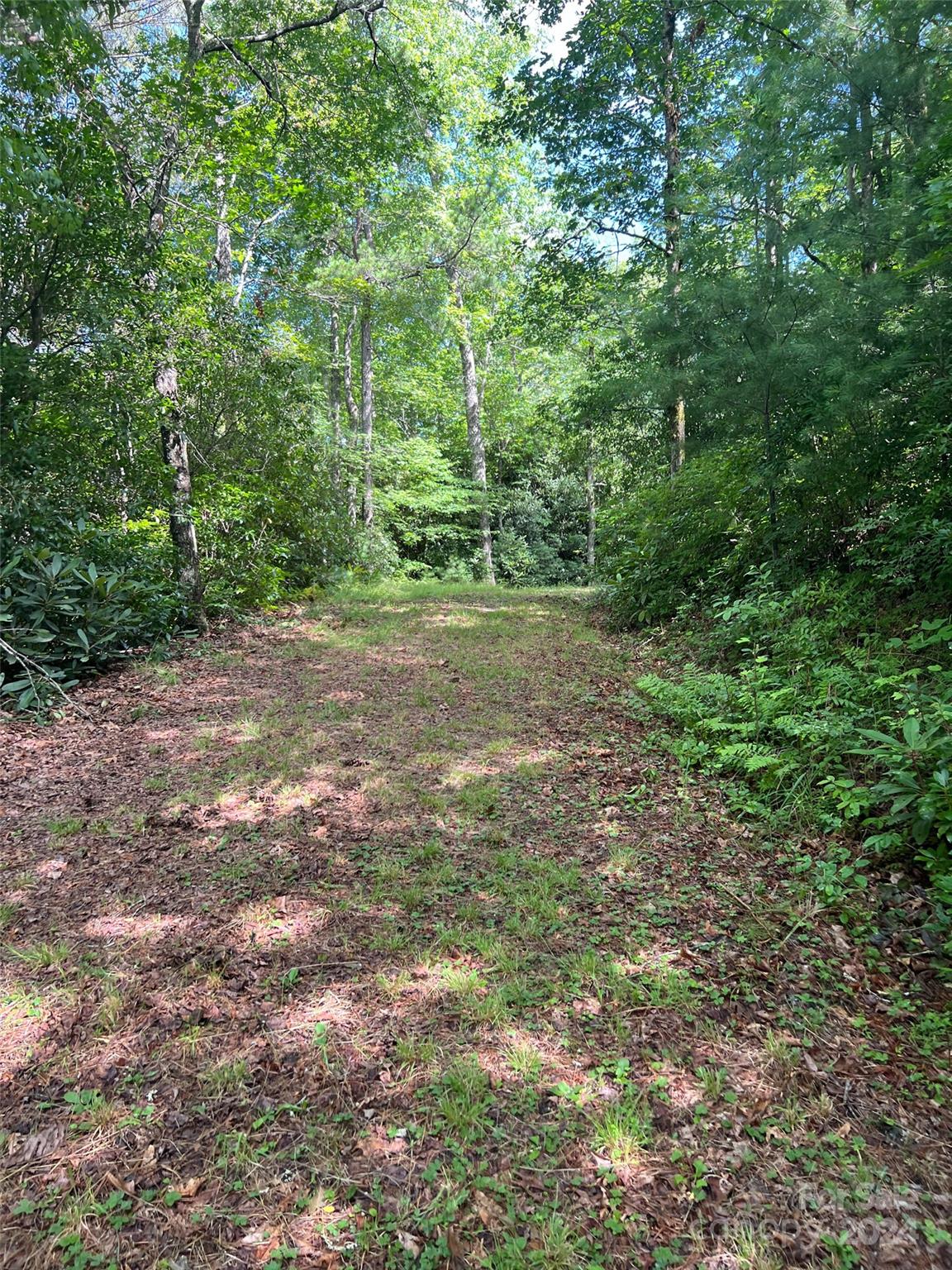 Big Hill - Land