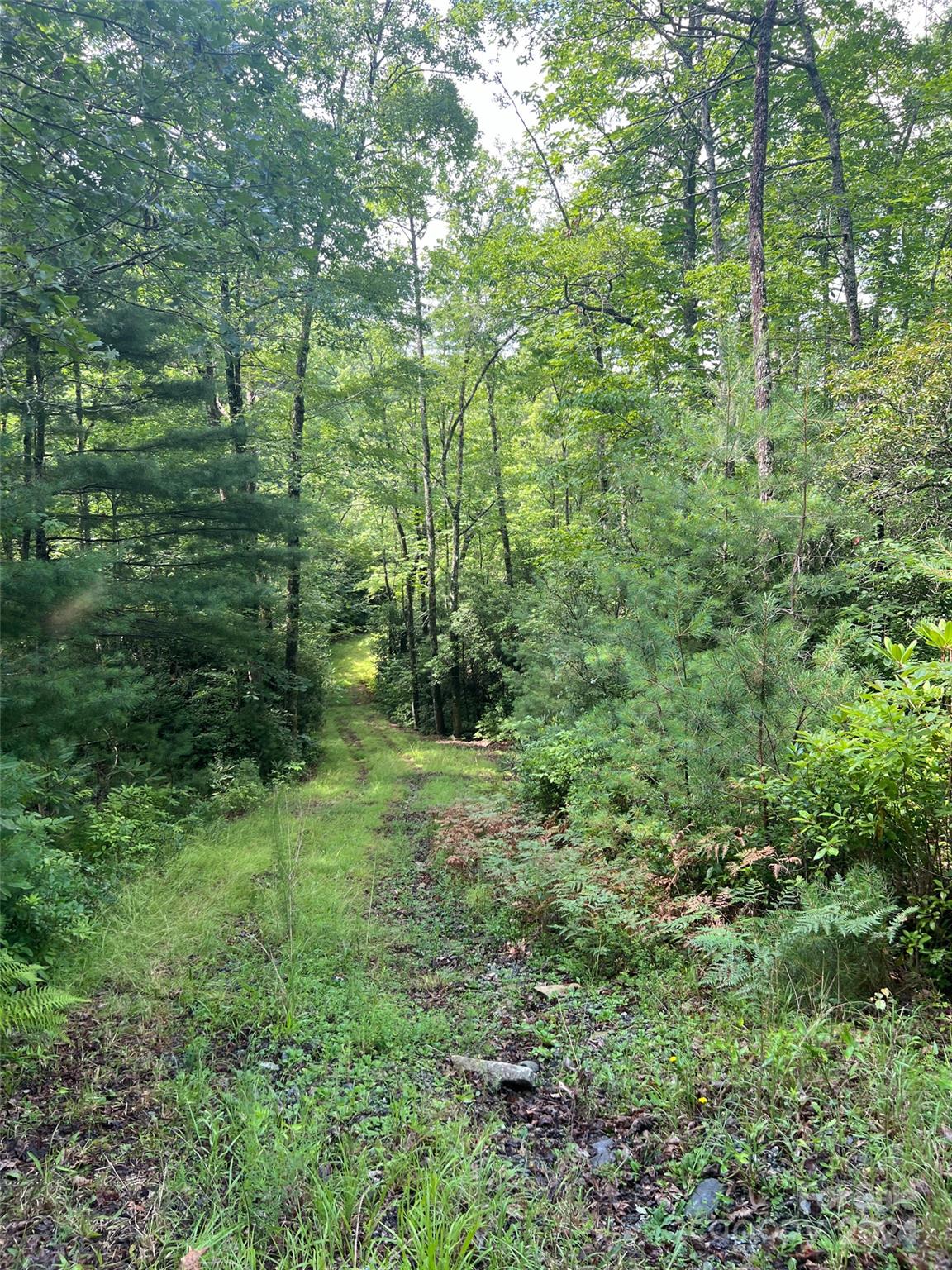 Big Hill - Land