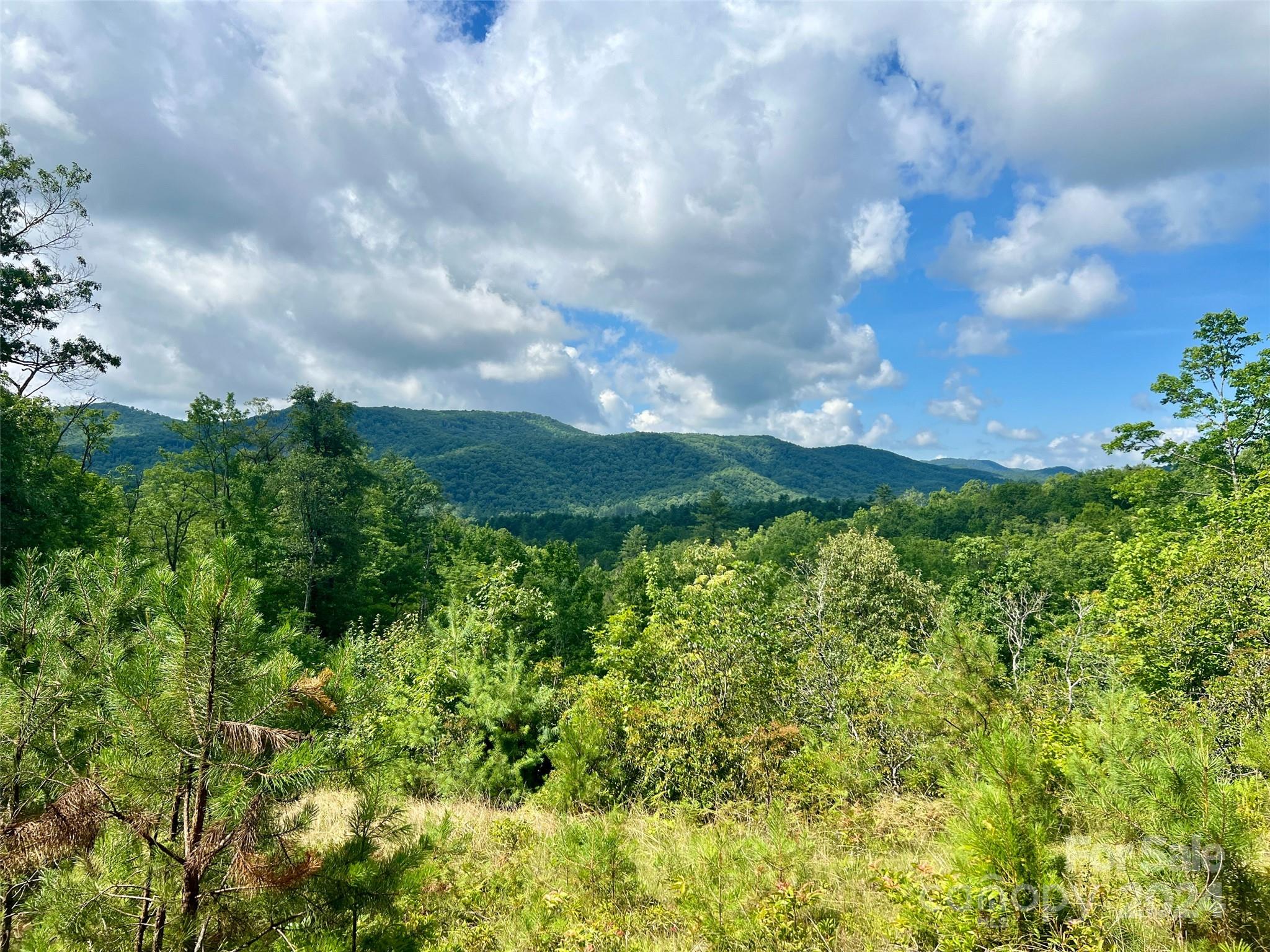 Enjoy complete privacy and long range mountain views form almost 4 acres.  Gravel drive is installed leading to a gentle cleared homes site that sits just above 2700 feet elevation looking out towards Sassafras Mountain to the south.  Only 20 minutes from Brevard or Dupont State Forest, it's adjacent to Headwaters State Park. Enjoy trout fishing along the East Fork River and hiking in Dupont Forest. Ideal location for road biking and Mountain Biking.  Site plans with topo and house plans on file as well an active septic and well permit.