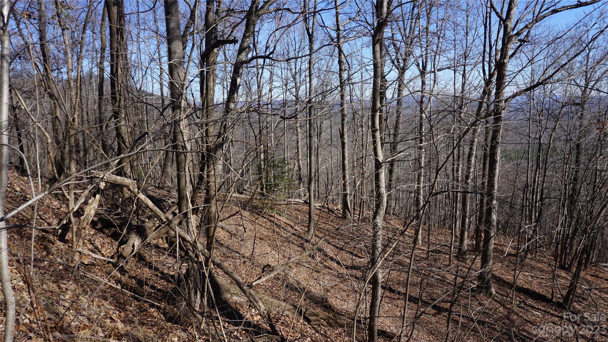 Pinnacle Mountain - Land