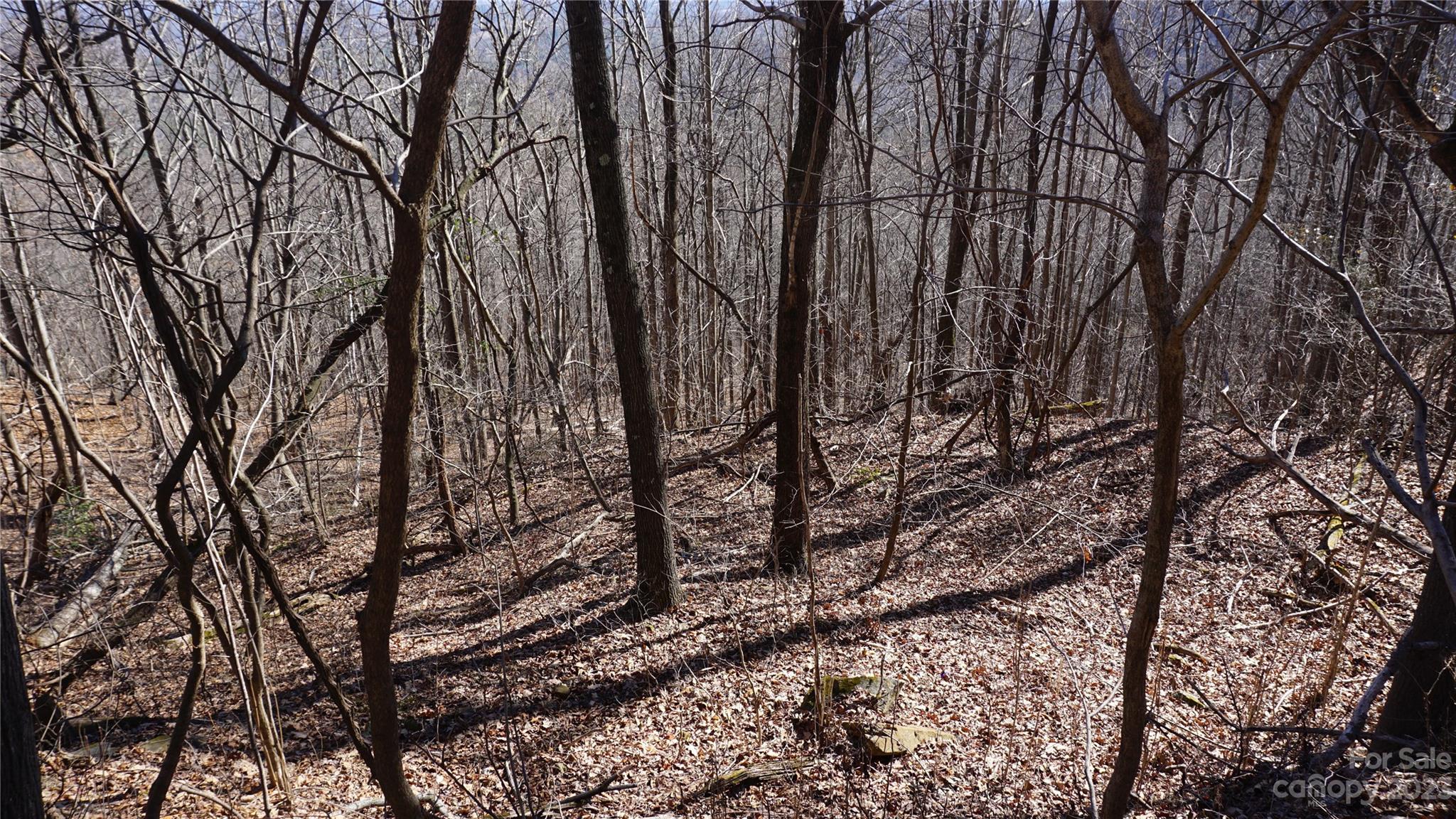 Pinnacle Mountain - Land