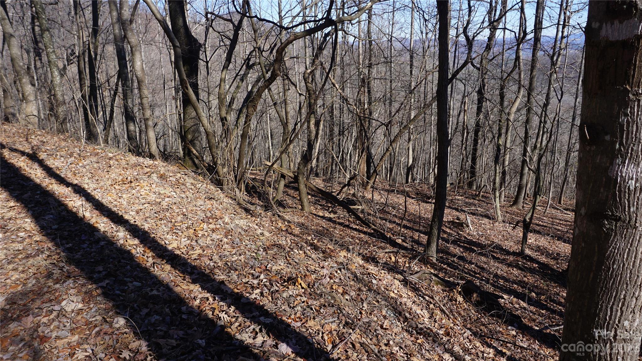 Pinnacle Mountain - Land