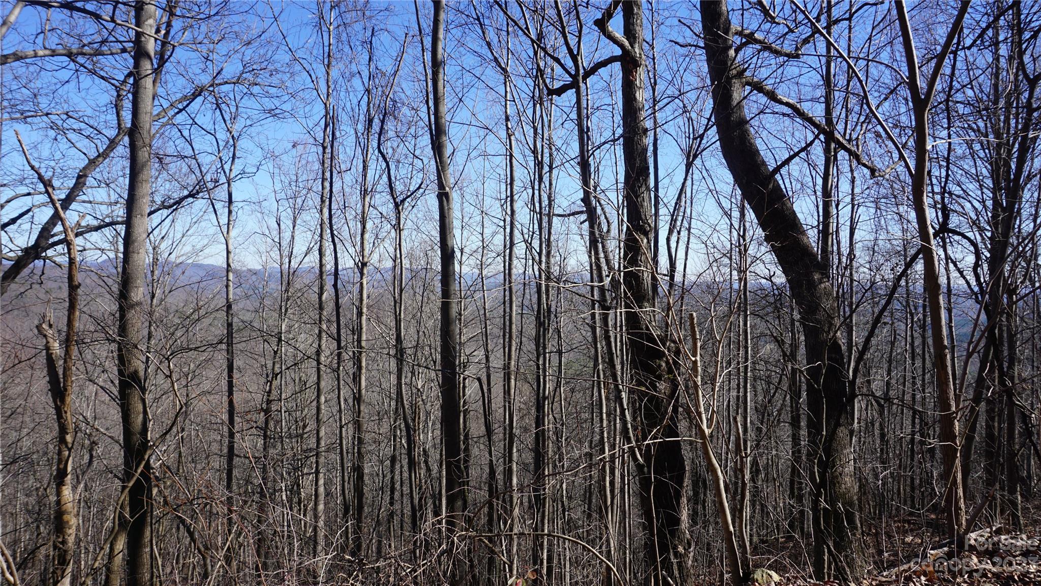 Pinnacle Mountain - Land