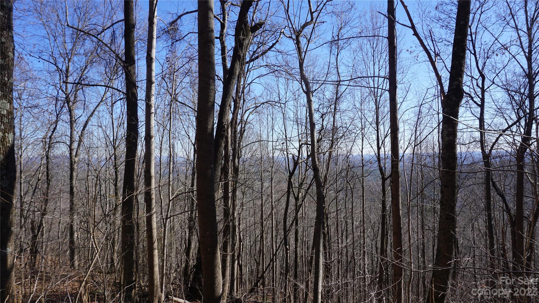 Pinnacle Mountain - Land