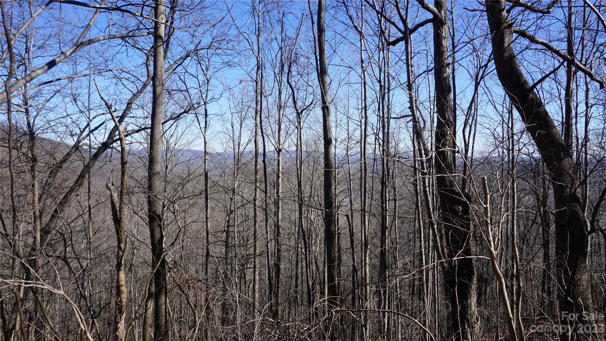 Pinnacle Mountain - Land