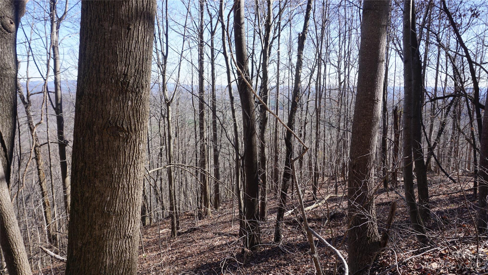 Pinnacle Mountain - Land