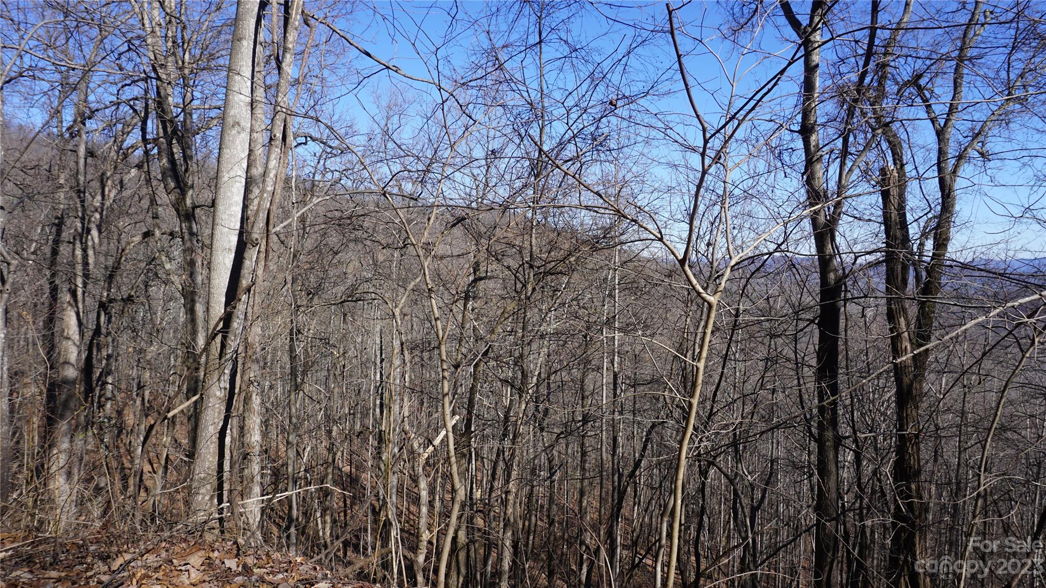 Pinnacle Mountain - Land