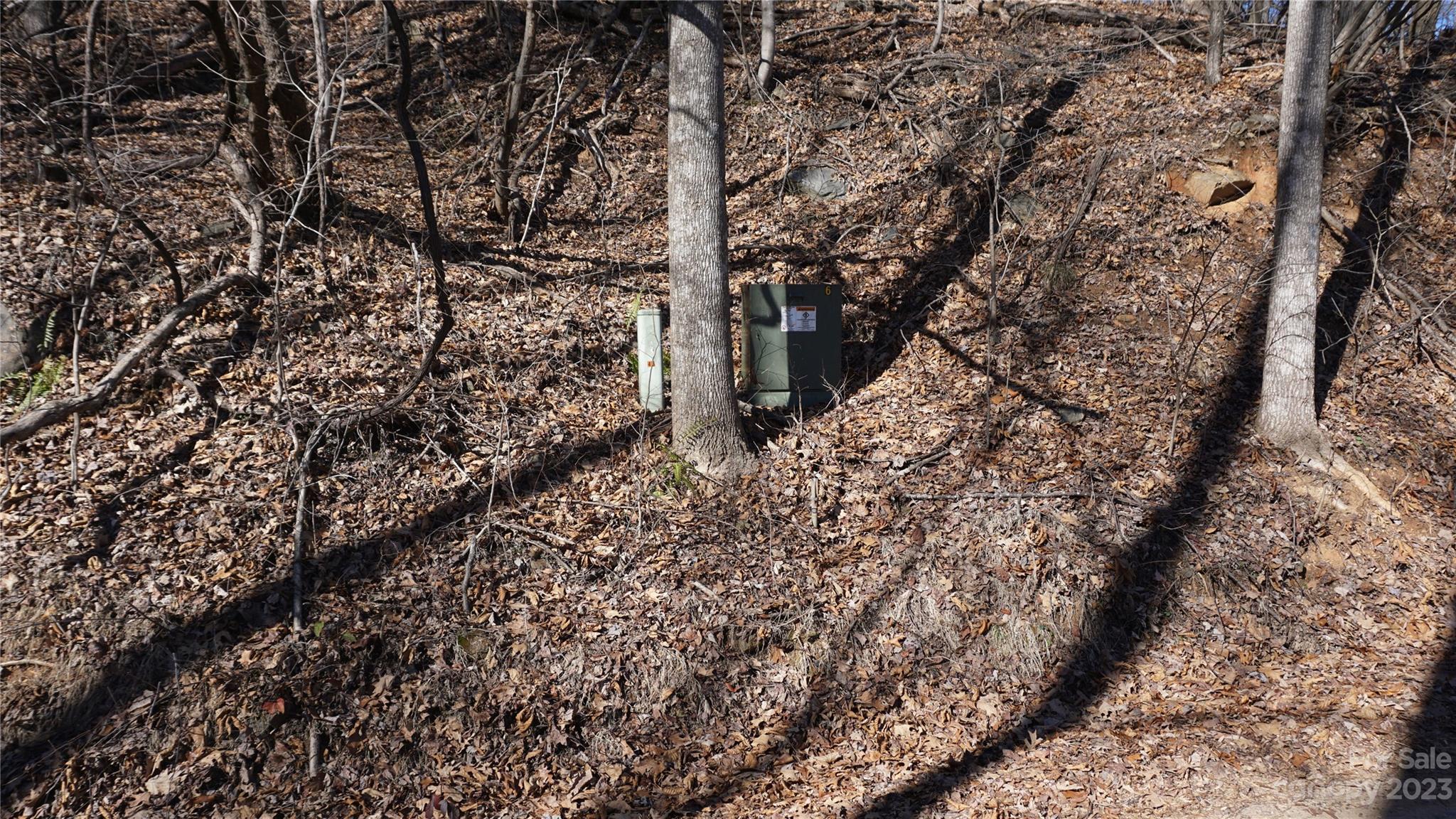 Pinnacle Mountain - Land