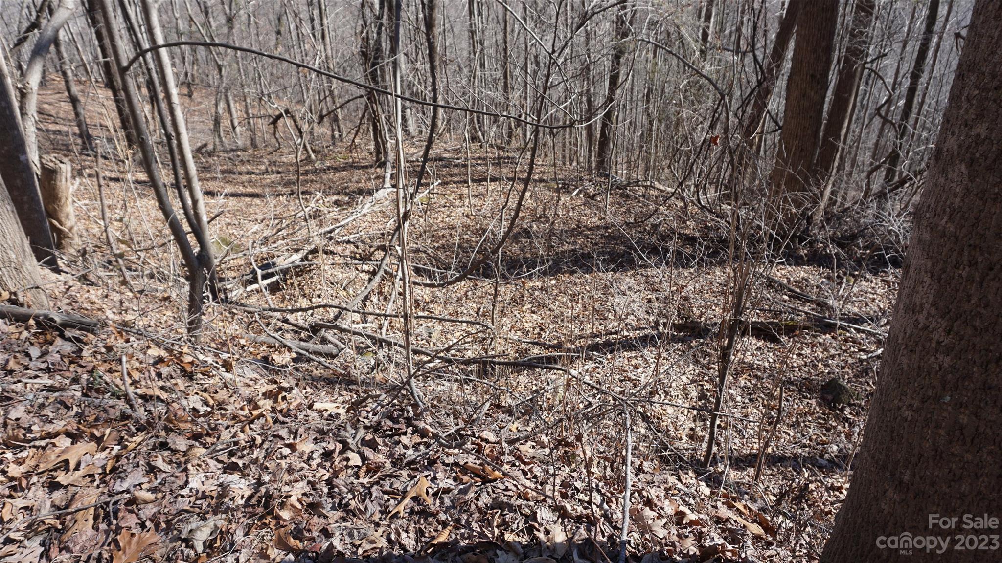 Pinnacle Mountain - Land