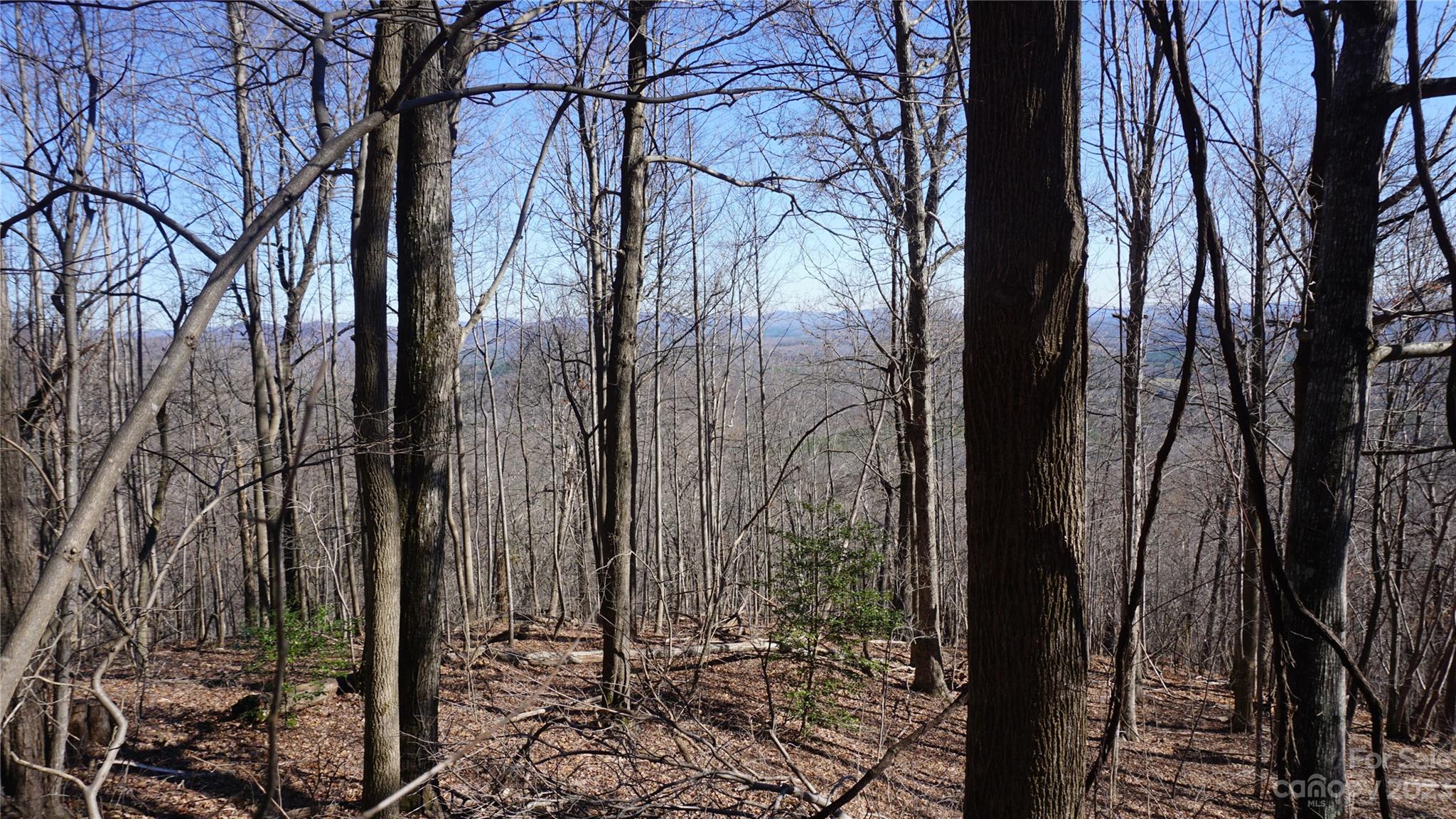 Pinnacle Mountain - Land