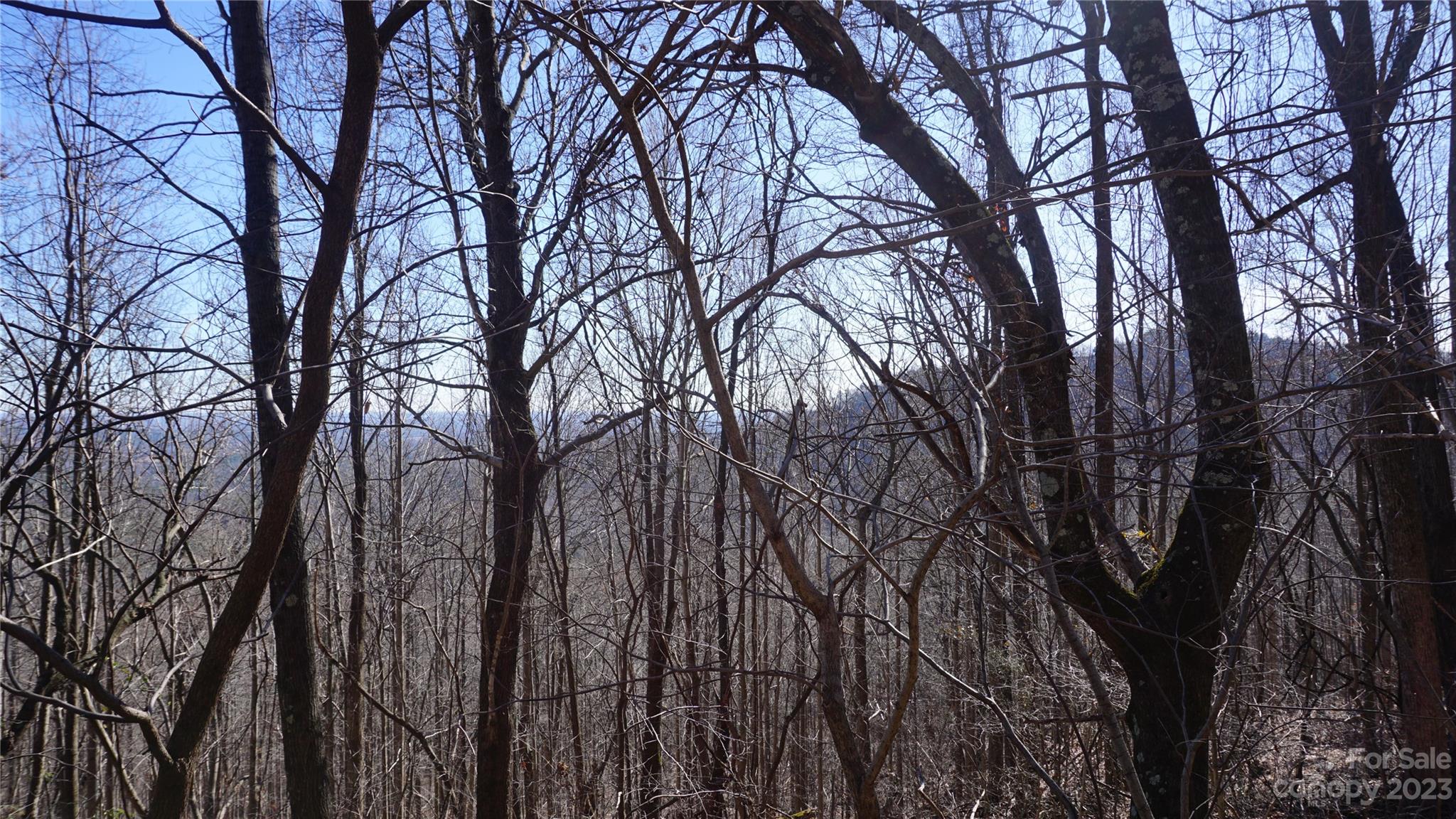 Pinnacle Mountain - Land