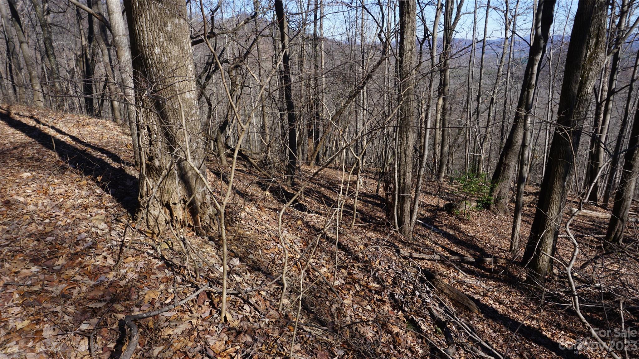 Pinnacle Mountain - Land