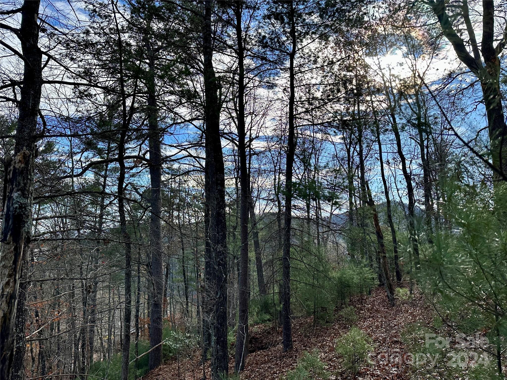French Broad Crossing - Land
