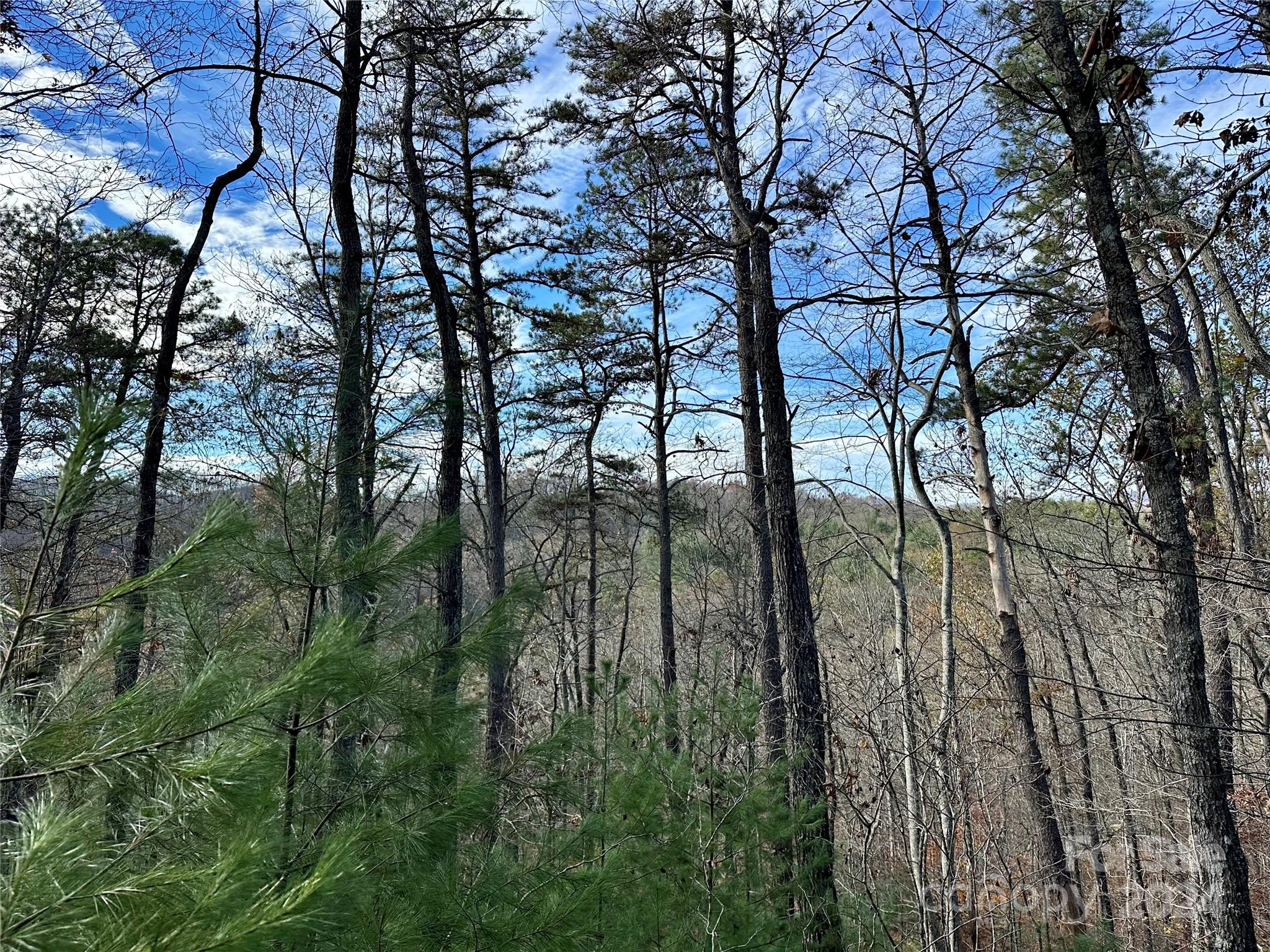 French Broad Crossing - Land