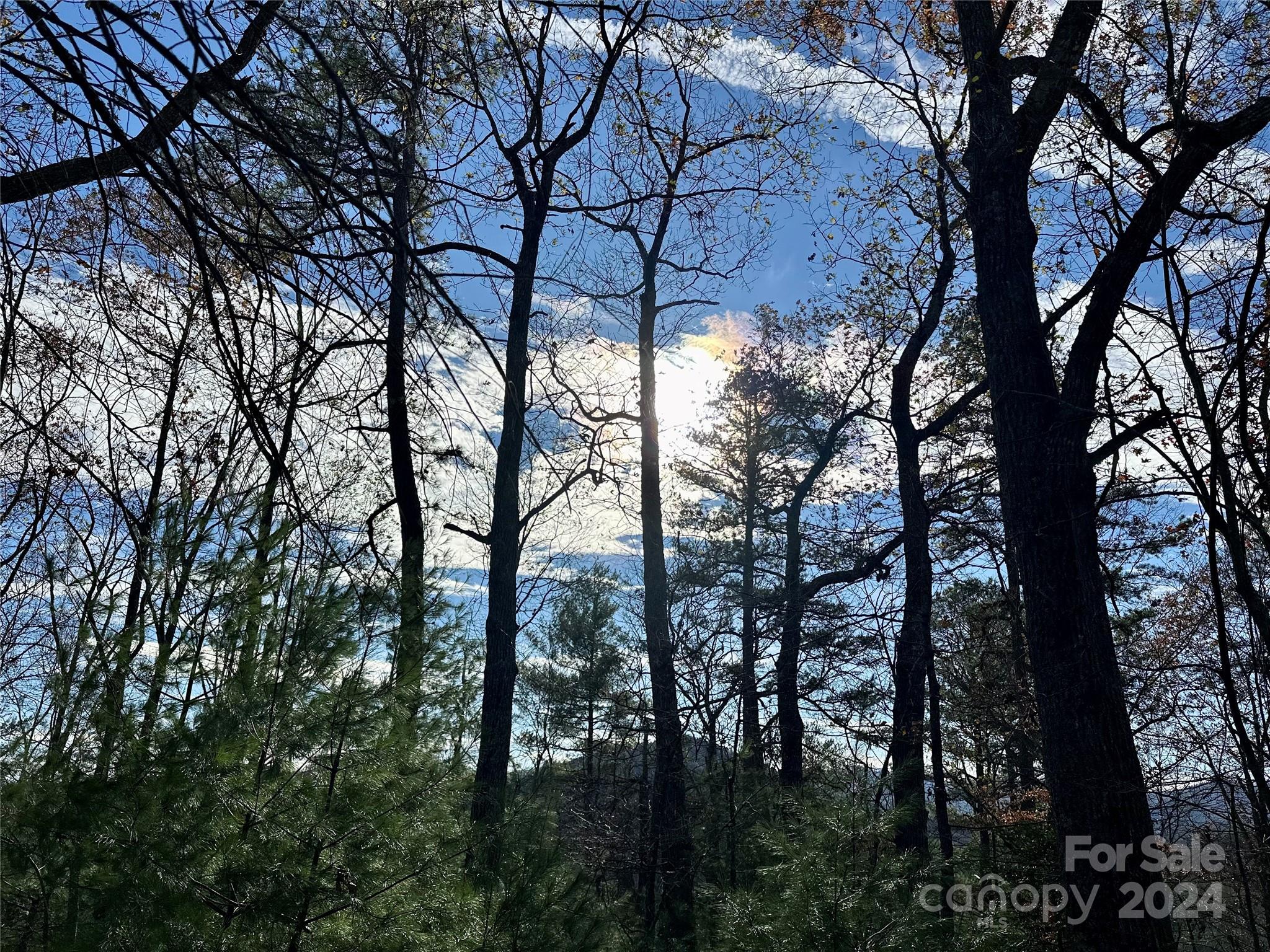 French Broad Crossing - Land