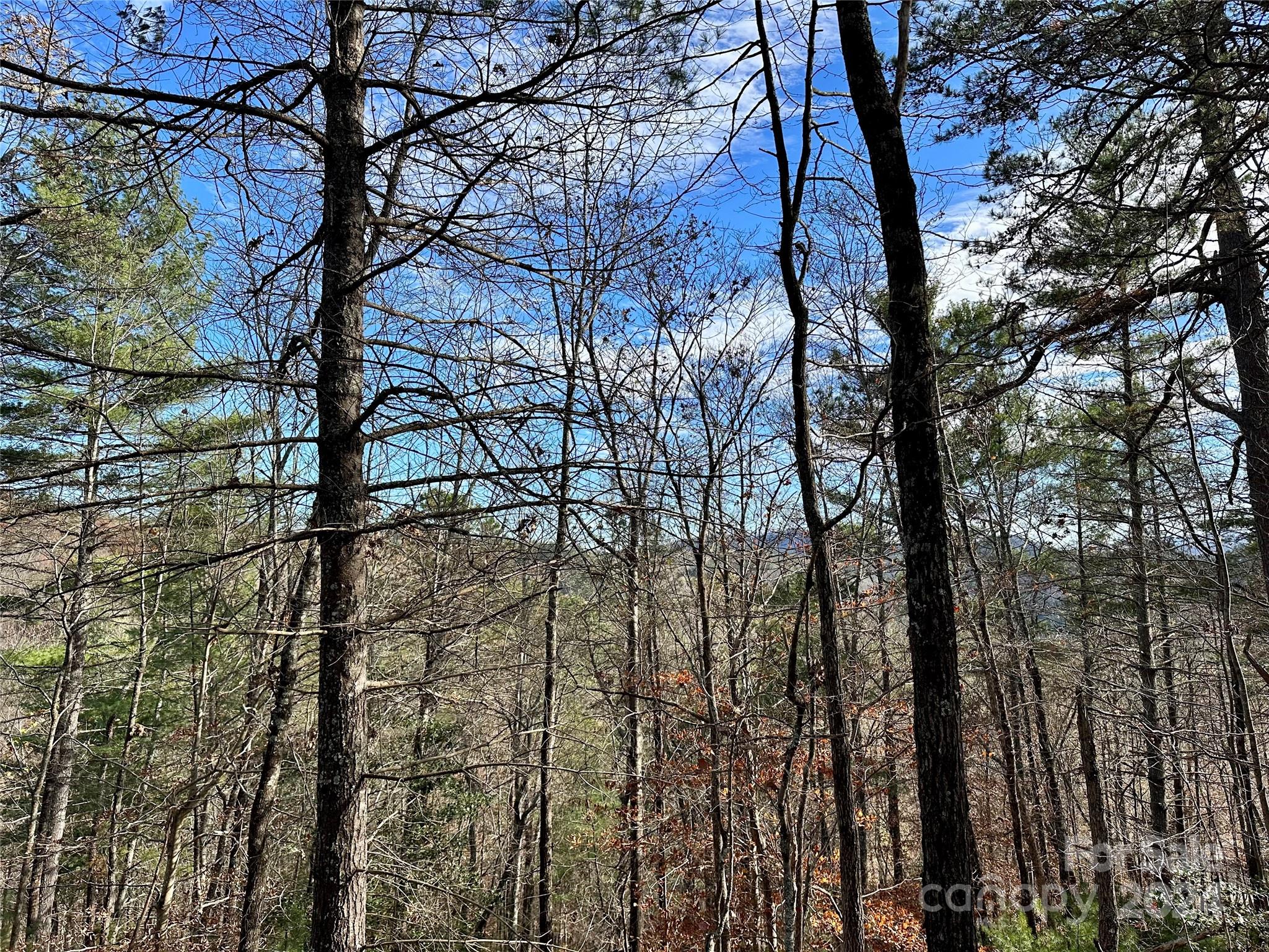 Are you looking for your personal sanctuary? With an easy build site and long-range views, you can build your safe-haven in the amazing conservation community of French Broad Crossing! Located in WNC, this peaceful site will enable you to enjoy nature's beauty & take in the fresh air. The shared driveway is already in place which is a huge money saver and affords easier maintenance! Driveway extension in place for easy access to this perfect homesite! French Broad Crossing is a gated community with easy access to Asheville & amenities galore! Enjoy the River Lodge, Fitness Center, Pool, Hot Tub, River Park, Pavilions, & miles of walking/ATV trails! Relax & watch the sunset from the River Lodge, gather with family & friends by the fire, participate in social activities, or absorb nature on the trails. This is THE place to check out of the daily hustle & bustle & take a deep breath! The serenity & peacefulness of the community is profound. Fiber Optic cable has been wired throughout the neighborhood. FBC has a designated medical helicopter landing zone.