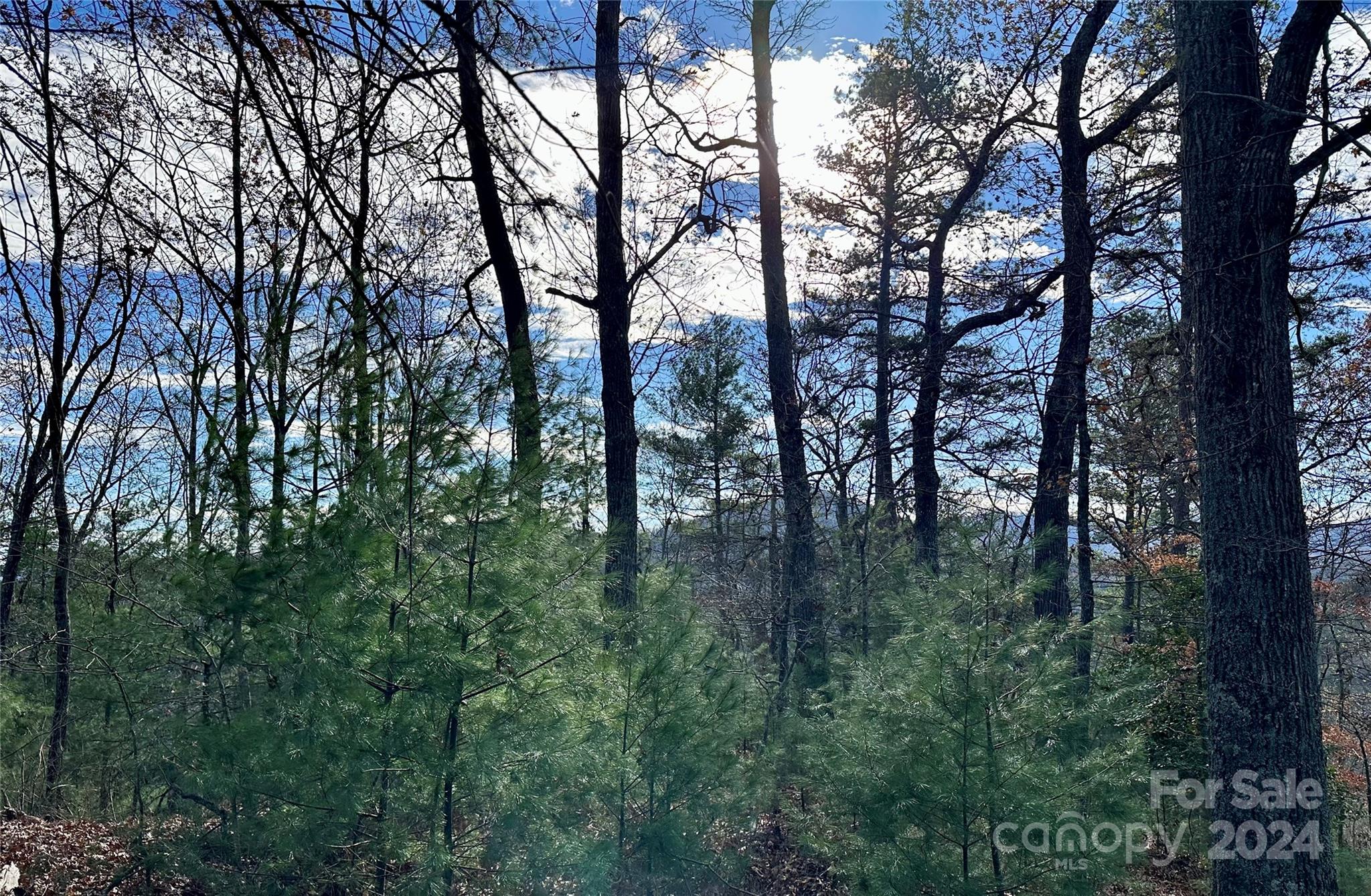 French Broad Crossing - Land