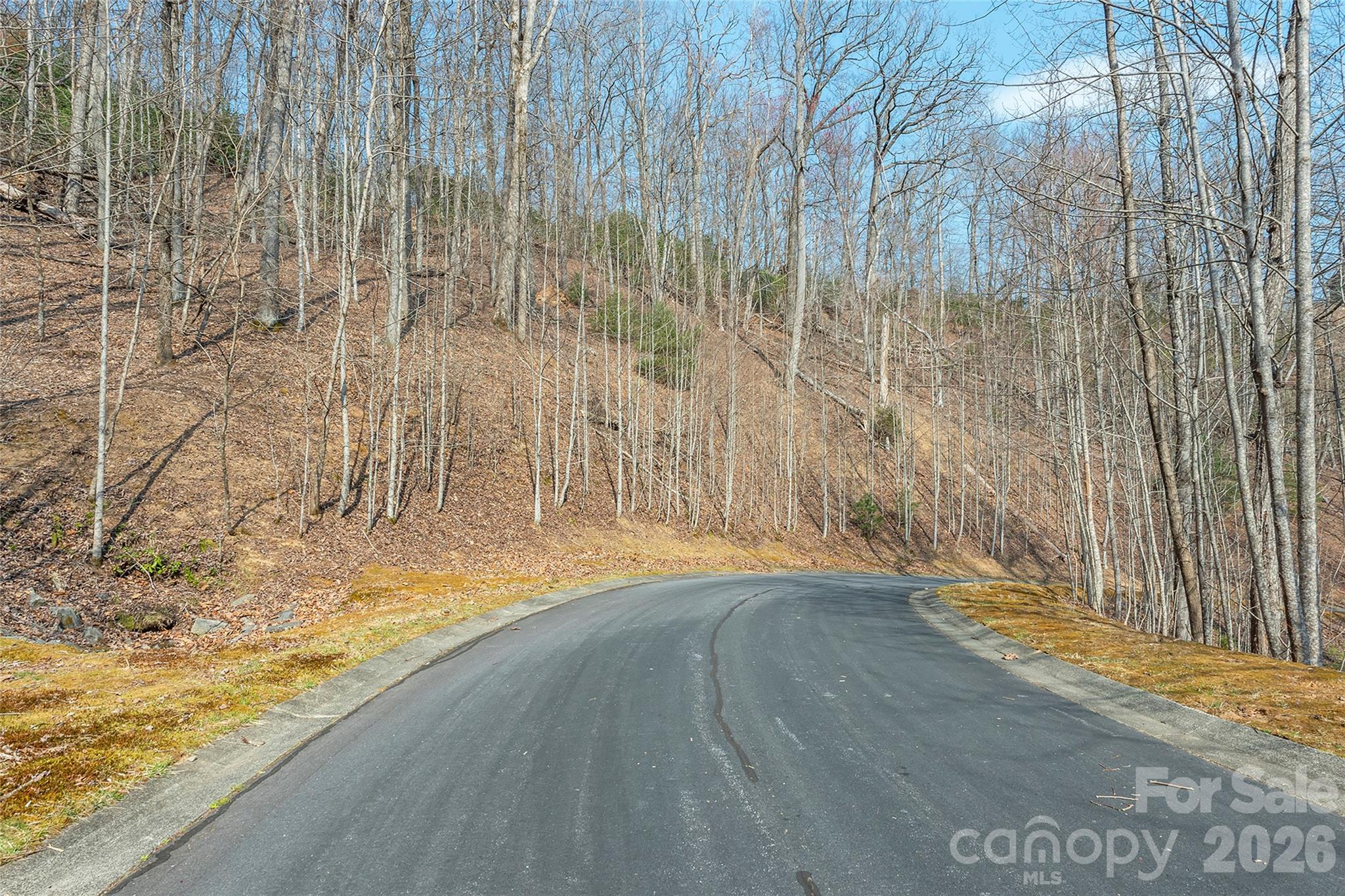Build your dream home in this mountain paradise! Located in the highly desirable, gated community of The Homestead at Mills River, Lot #11 on Shining Rock Path offers pristine wooded beauty and potential mountain views. The property showcases a stunning natural landscape filled with mature rhododendrons and mountain laurel. Enjoy the peace of mind that comes with premium infrastructure already in place, including paved roads, storm sewers, underground utilities and available natural gas. Community amenities are exceptional, featuring a private, remote clubhouse situated on over 10 pristine acres along the Mills River, perfect for fishing and hosting events. Unbeatable Western North Carolina convenience only five minutes to Ingles Supermarket and the upcoming new Publix, 10 minutes to Sierra Nevada Brewing Co., 15 minutes to the Asheville Regional Airport (AVL), 25 minutes to the Historic Hendersonville and Brevard and 35 minutes to downtown Asheville. Whether you are looking to fish some of WNC's finest trout streams, hike, mountain bike or simply relax in a secure, upscale community, this lot is the perfect canvas for your custom home.