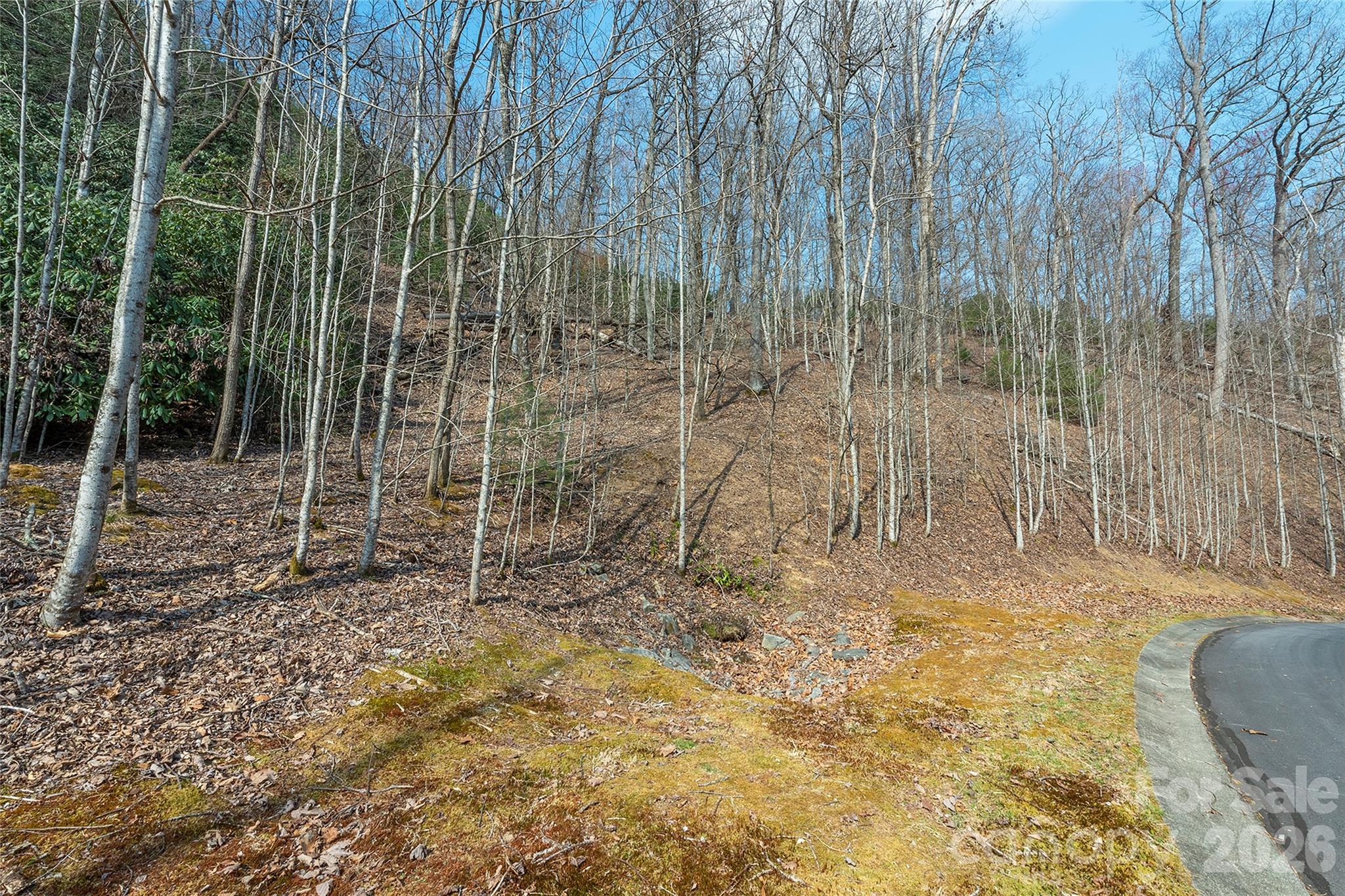Homestead at Mills River - Land