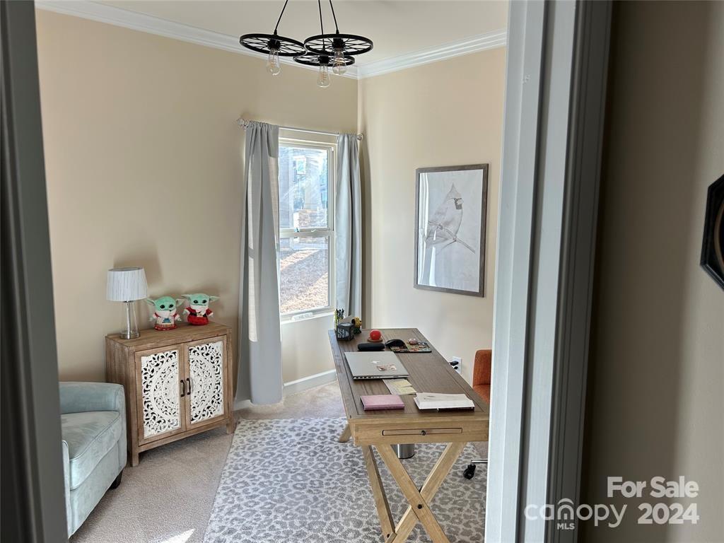 Ellington Downs - Residential
