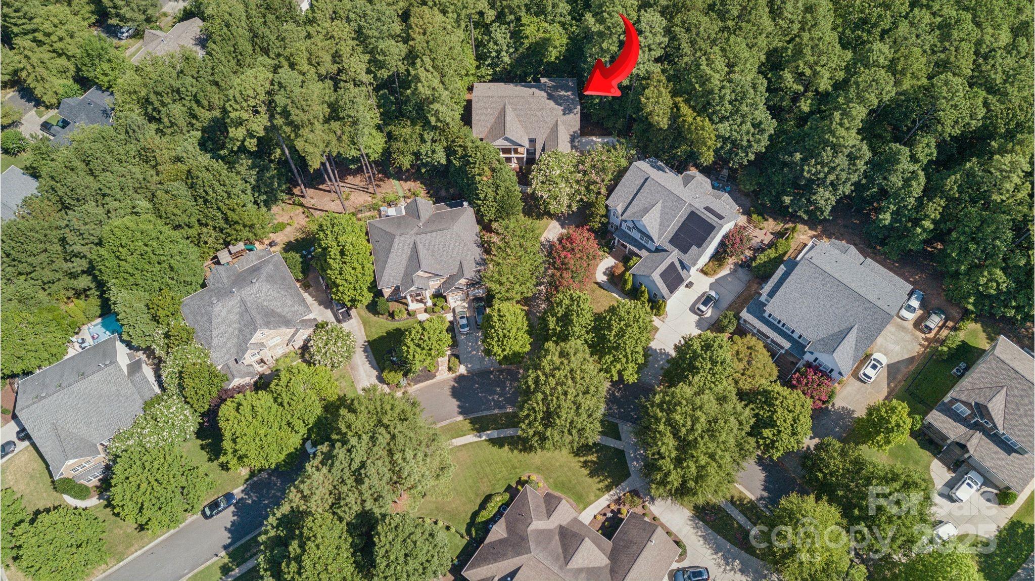 Chestnut Hill - Residential