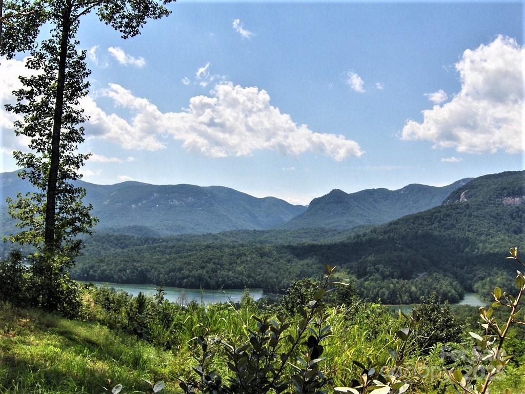 Rumbling Bald on Lake Lure - Land