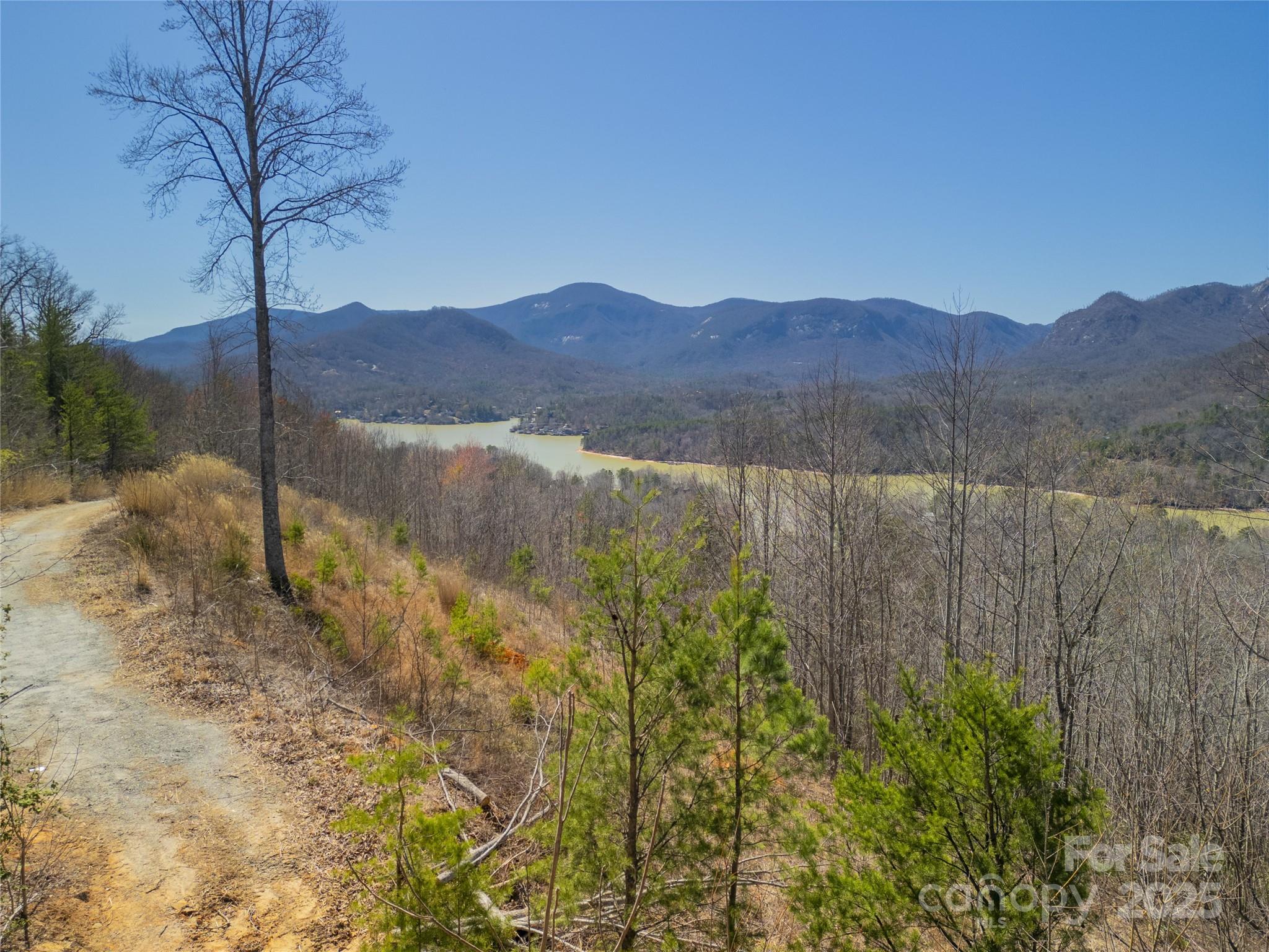 Rumbling Bald on Lake Lure - Land