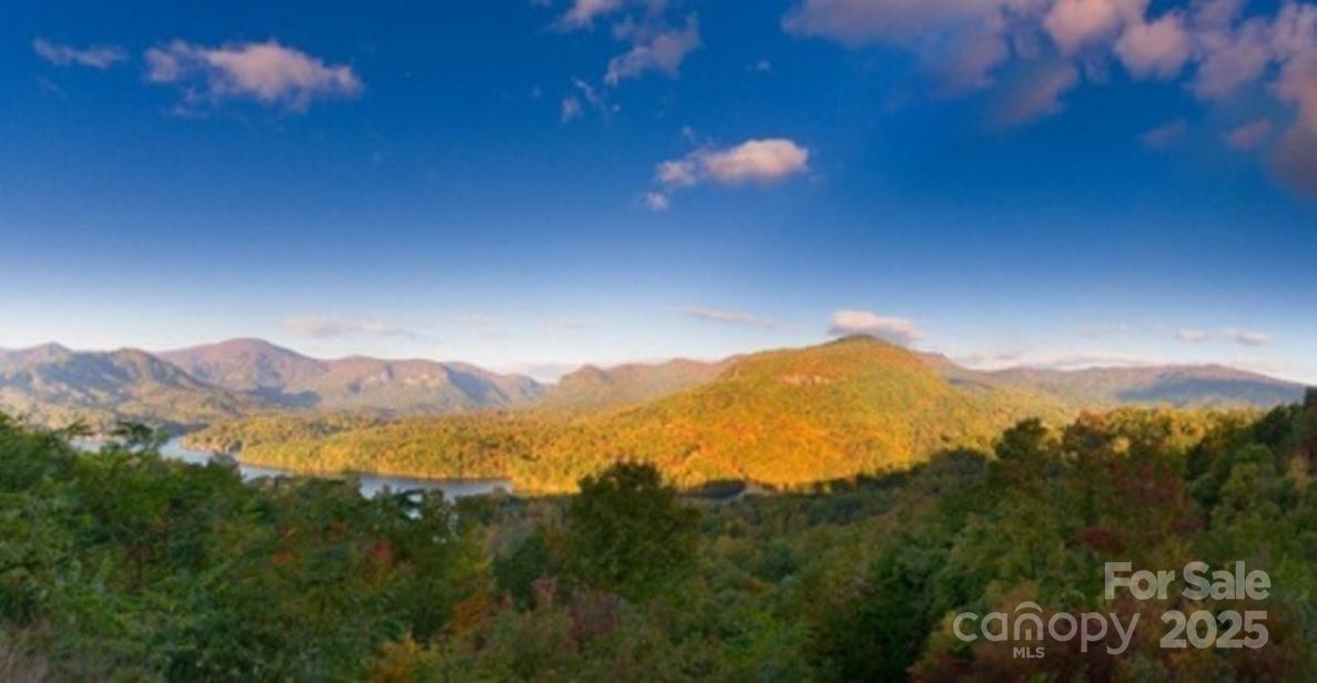 Rumbling Bald on Lake Lure - Land