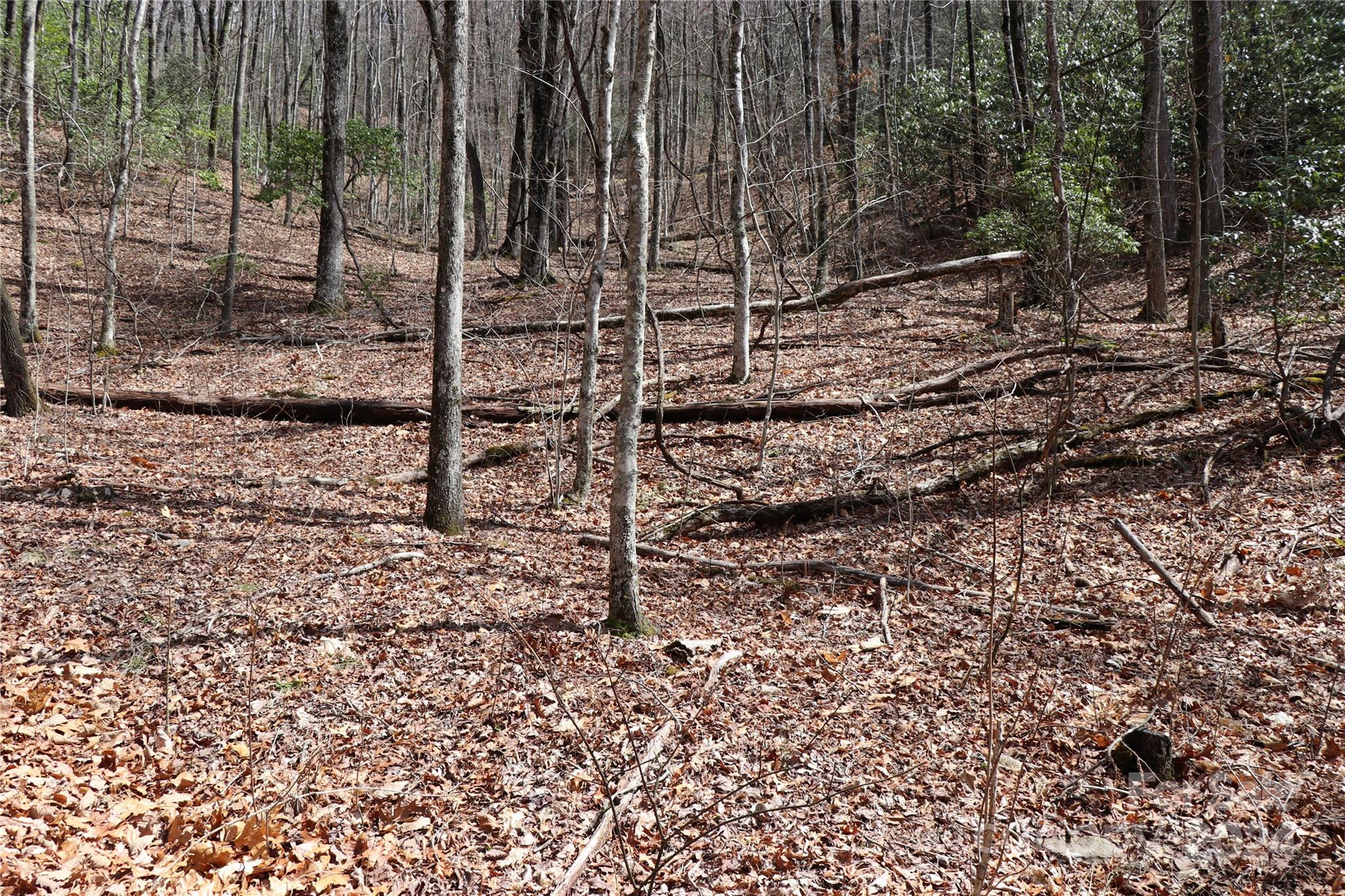 Build your dream home on this large 2.12 Acre parcel located tastefully in the heart of what Balsam Mountain Preserve has to offer. Balsam Mountain Preserve is a private 4,400 acre community with 3,200 acres of conservation land with unbelievable amenities including 40 miles of hiking trails, tennis courts, dining, equestrian facilities, fitness center pool, and much more!  Don't miss out on this wonderful opportunity.