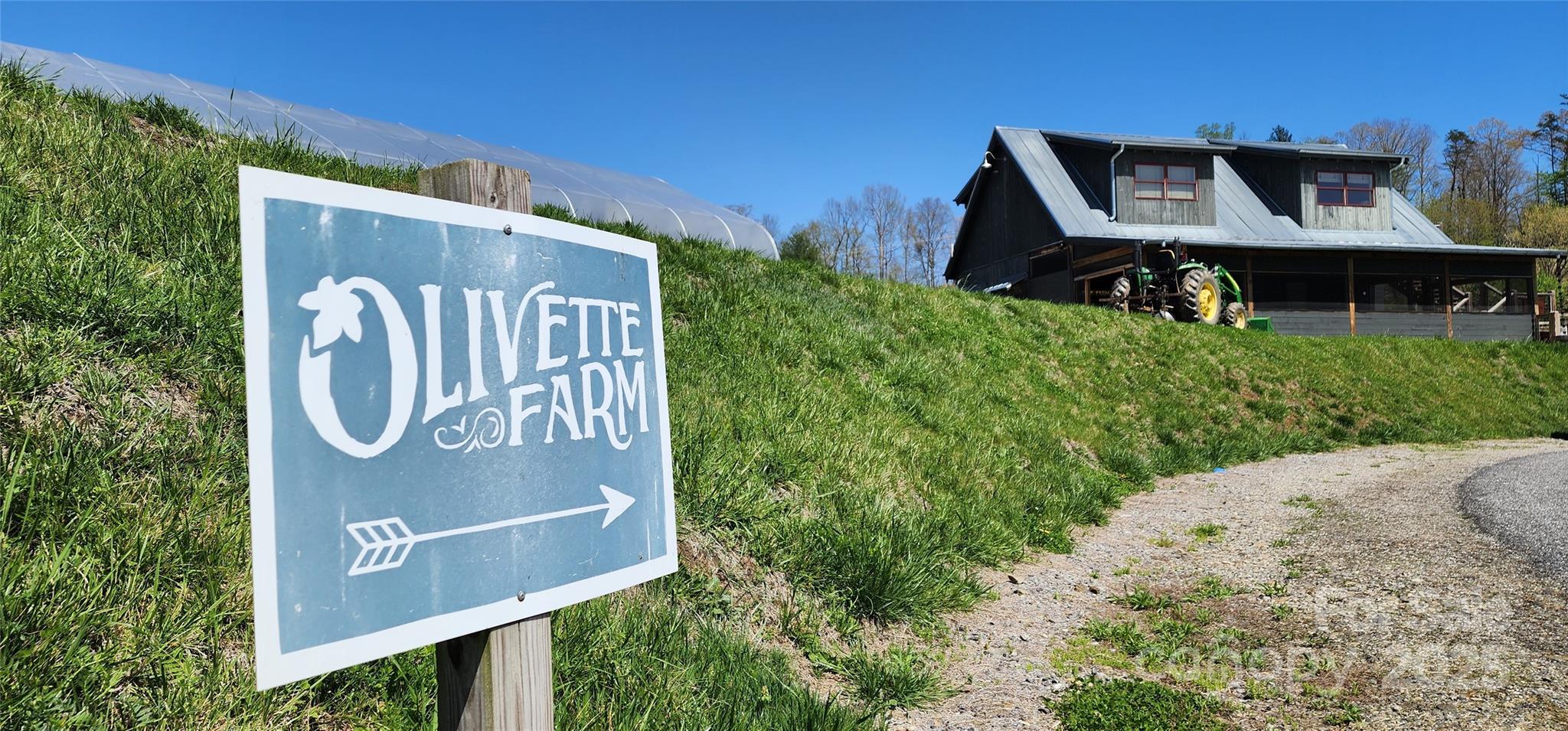 Olivette - Land