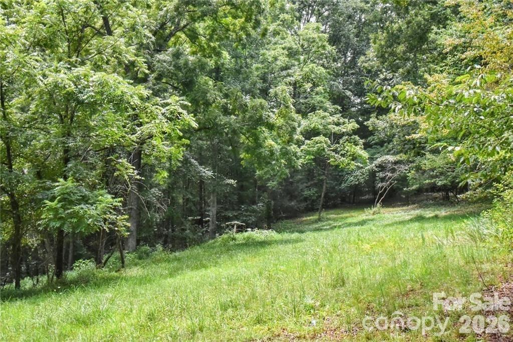 Enjoy the Welcoming Small Town Atmosphere of "The Cane Creek Valley", Excellent opportunity for a mini farm, builder, multi- family, small business, private residence, and much more!!Level to rolling with some slope. Nature is everywhere with deer, rhododendron, mountain laurel. Property has a recent survey. This 5 acres comes out of a 10.37 acre tract. New Bridge has been built.