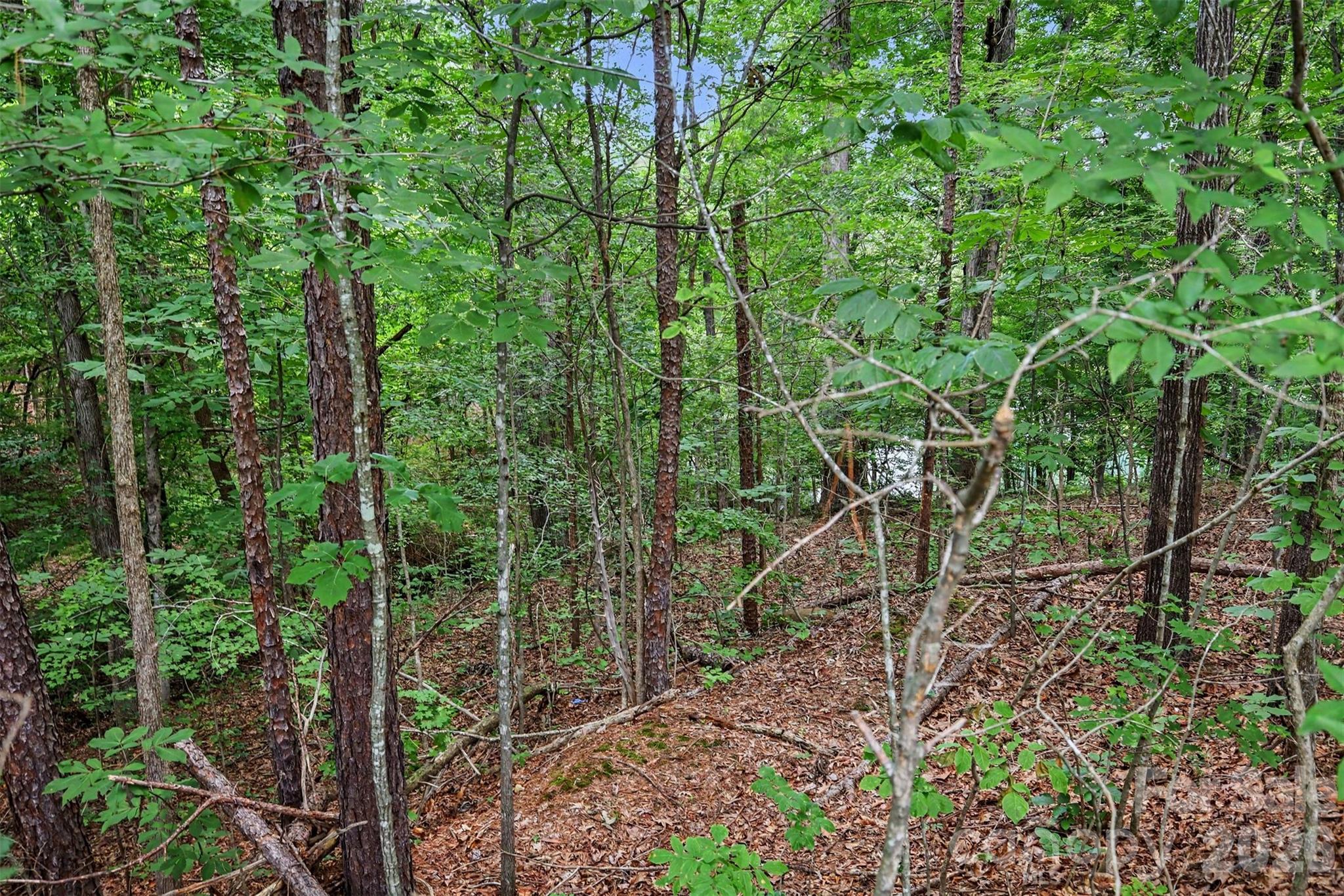 Hunters Pointe - Land